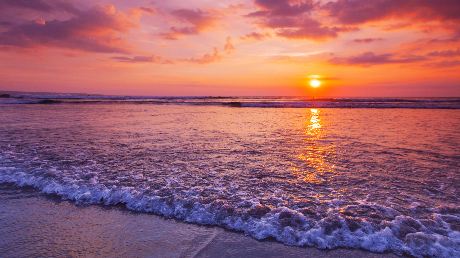 Sea Moss & Bladderwrack