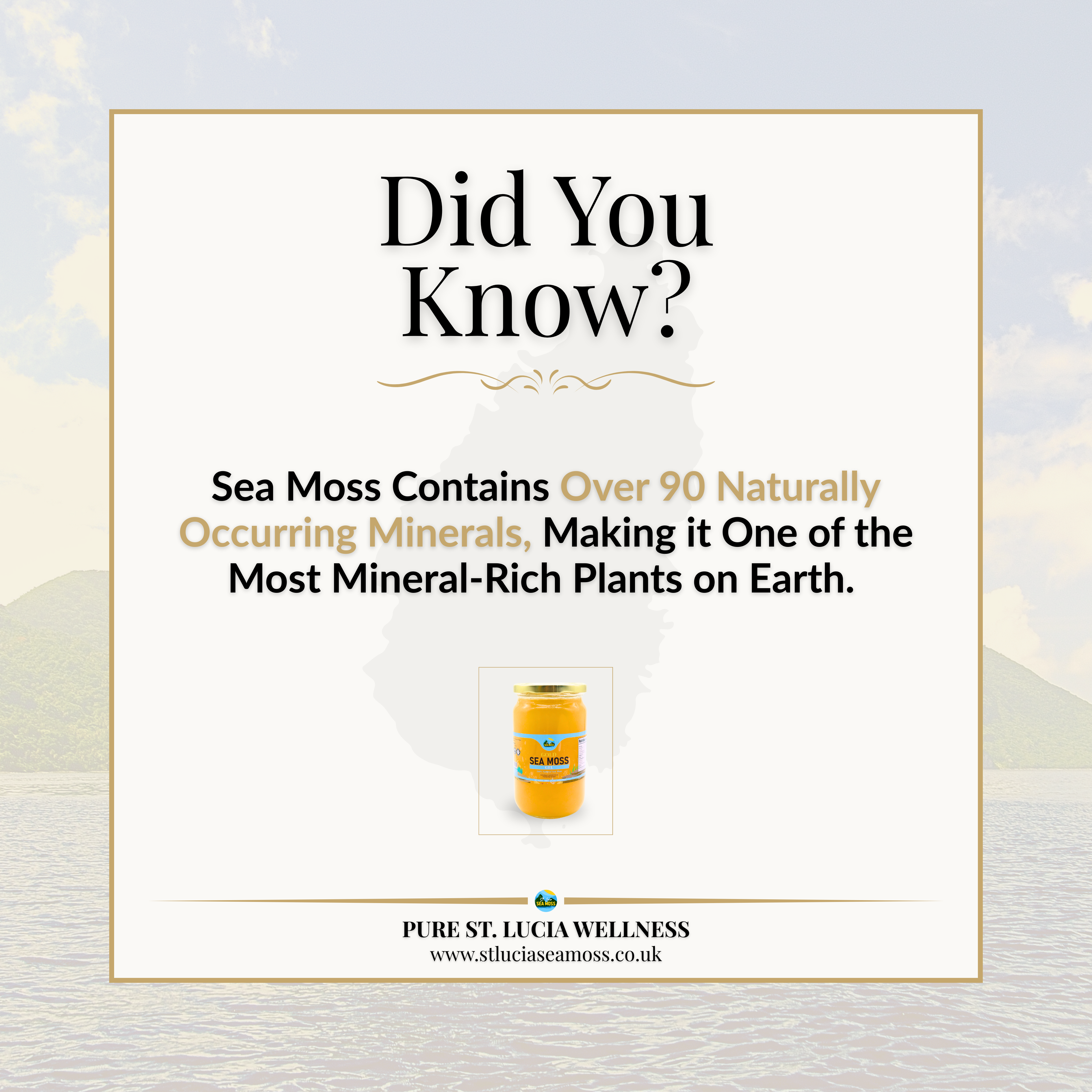 Gold St Lucia Sea Moss Gel 720ml