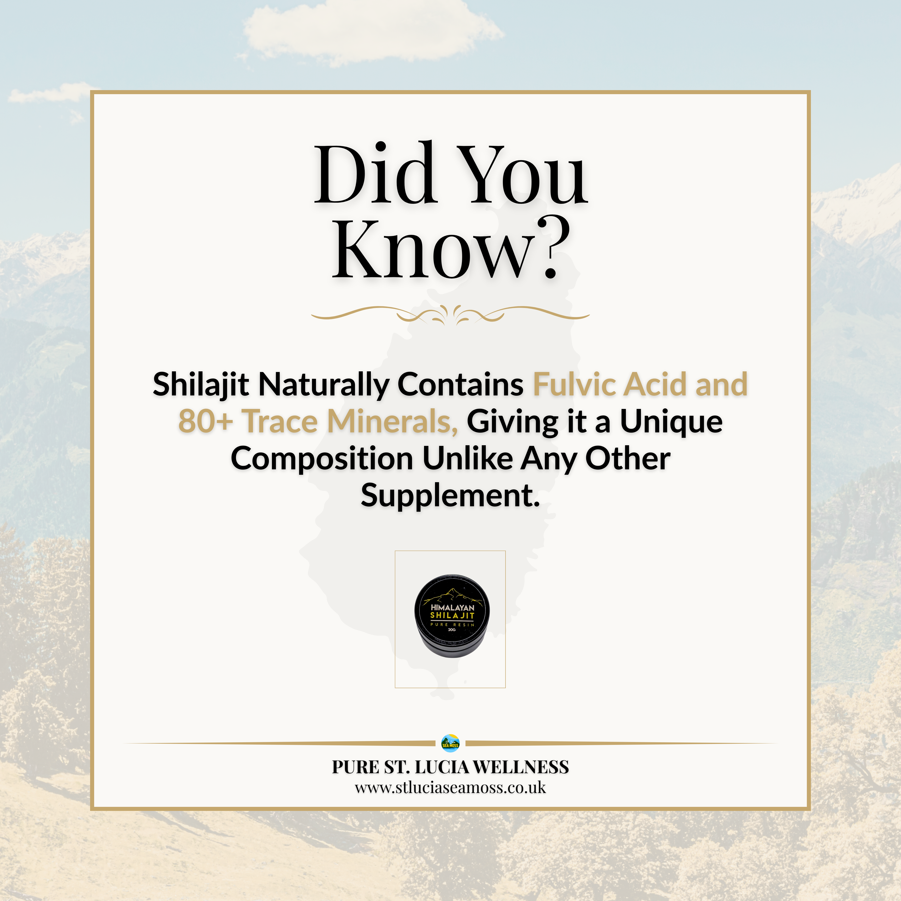 Himalayan Shilajit Pure Resin 20g - St Lucia Sea Moss