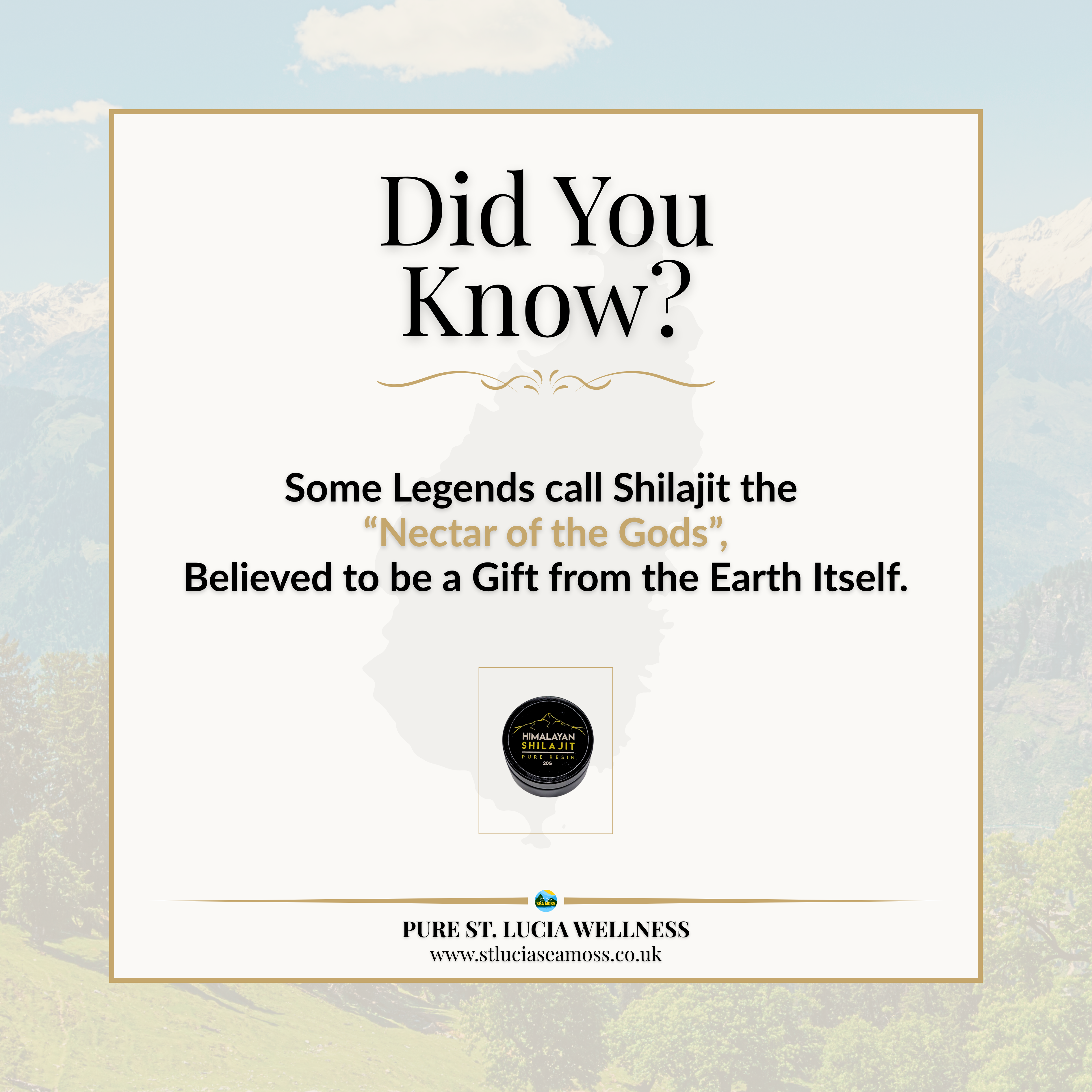 Himalayan Shilajit Pure Resin 20g - St Lucia Sea Moss