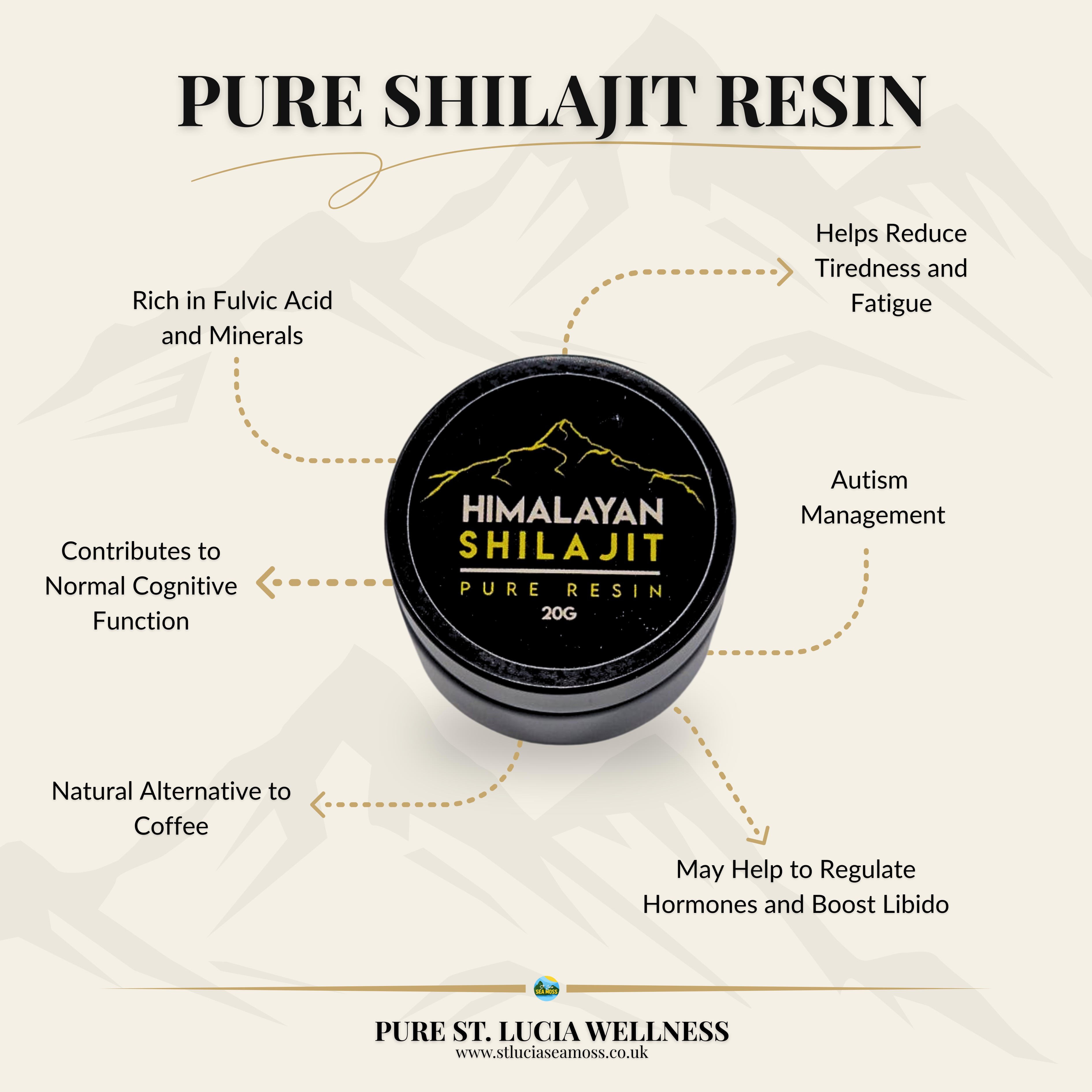 Himalayan Shilajit Pure Resin 20g