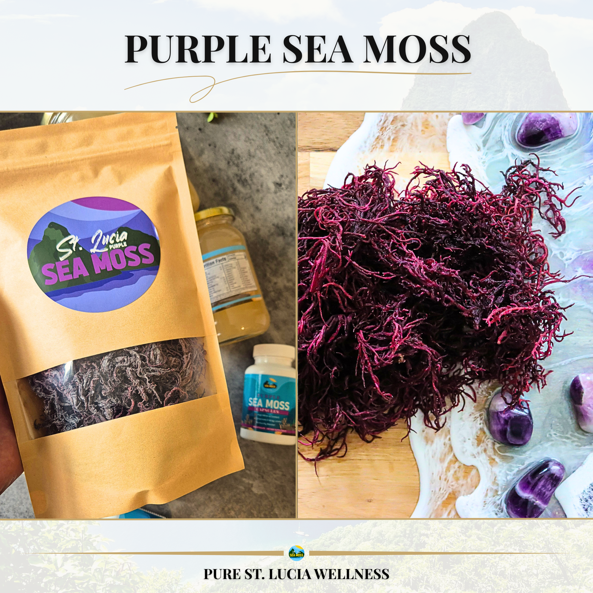 1kg Purple St Lucia Sea Moss - Gracilaria