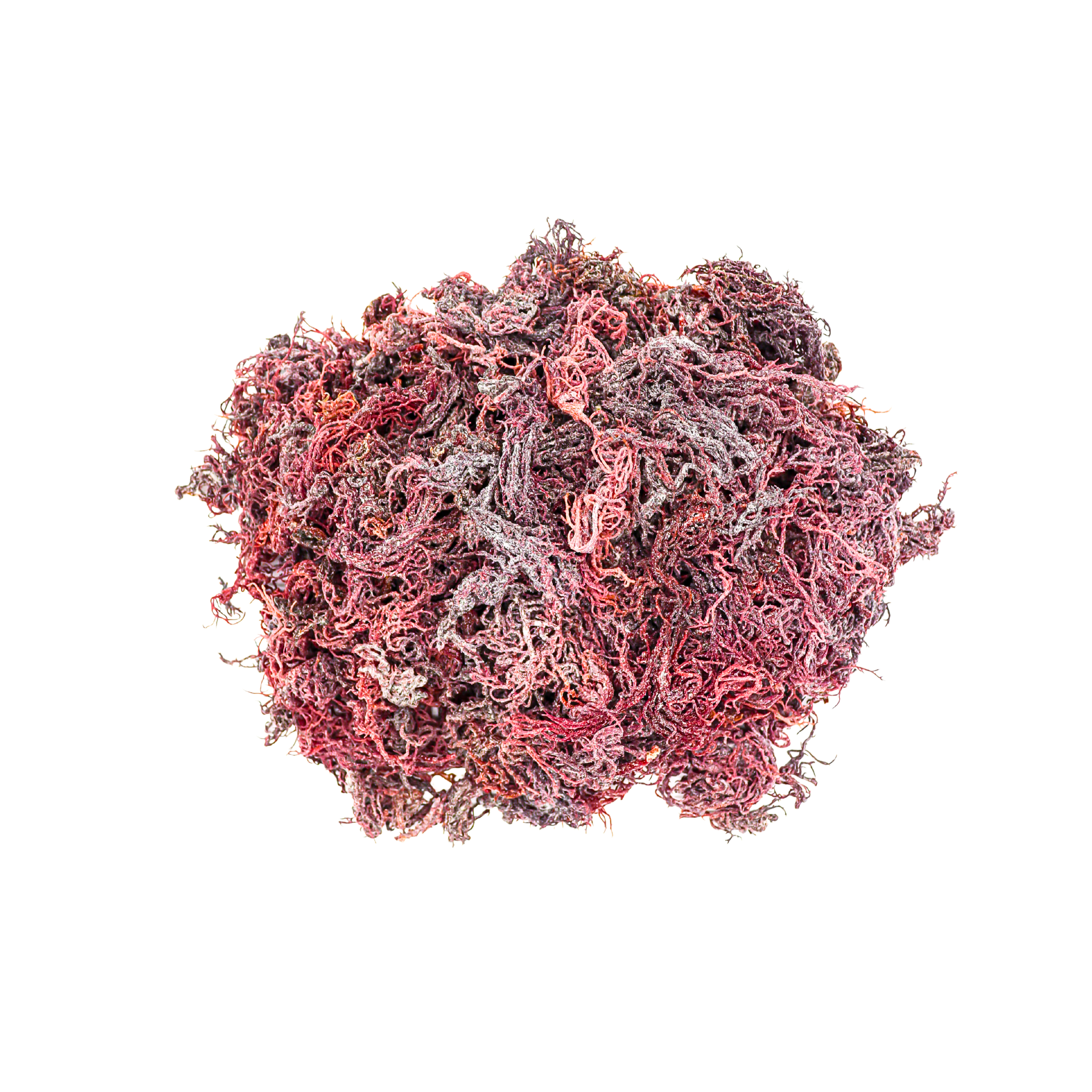 1kg Purple St Lucia Sea Moss - Gracilaria