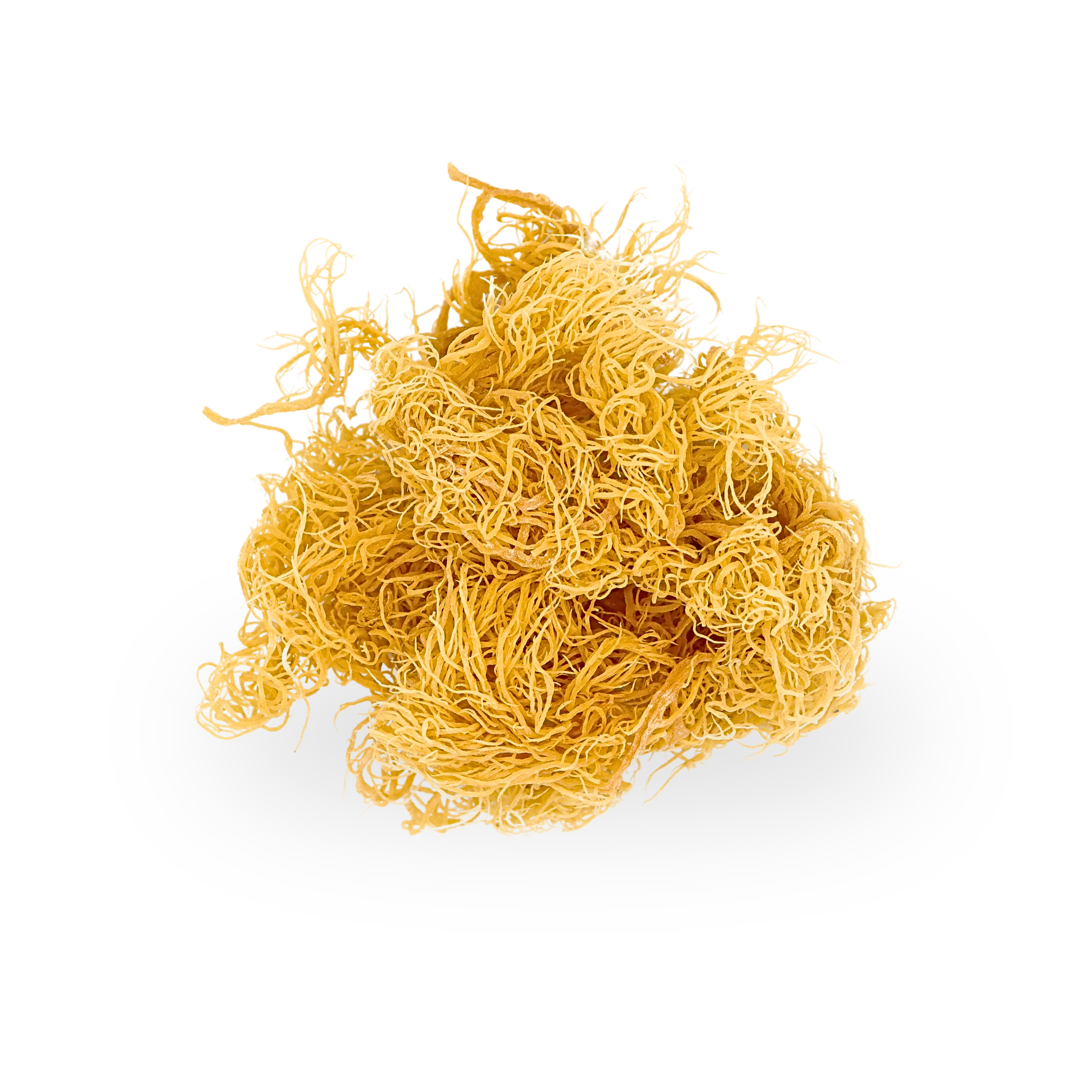 3 x 70g Gold St Lucia Sea Moss - Eucheuma Cottonii