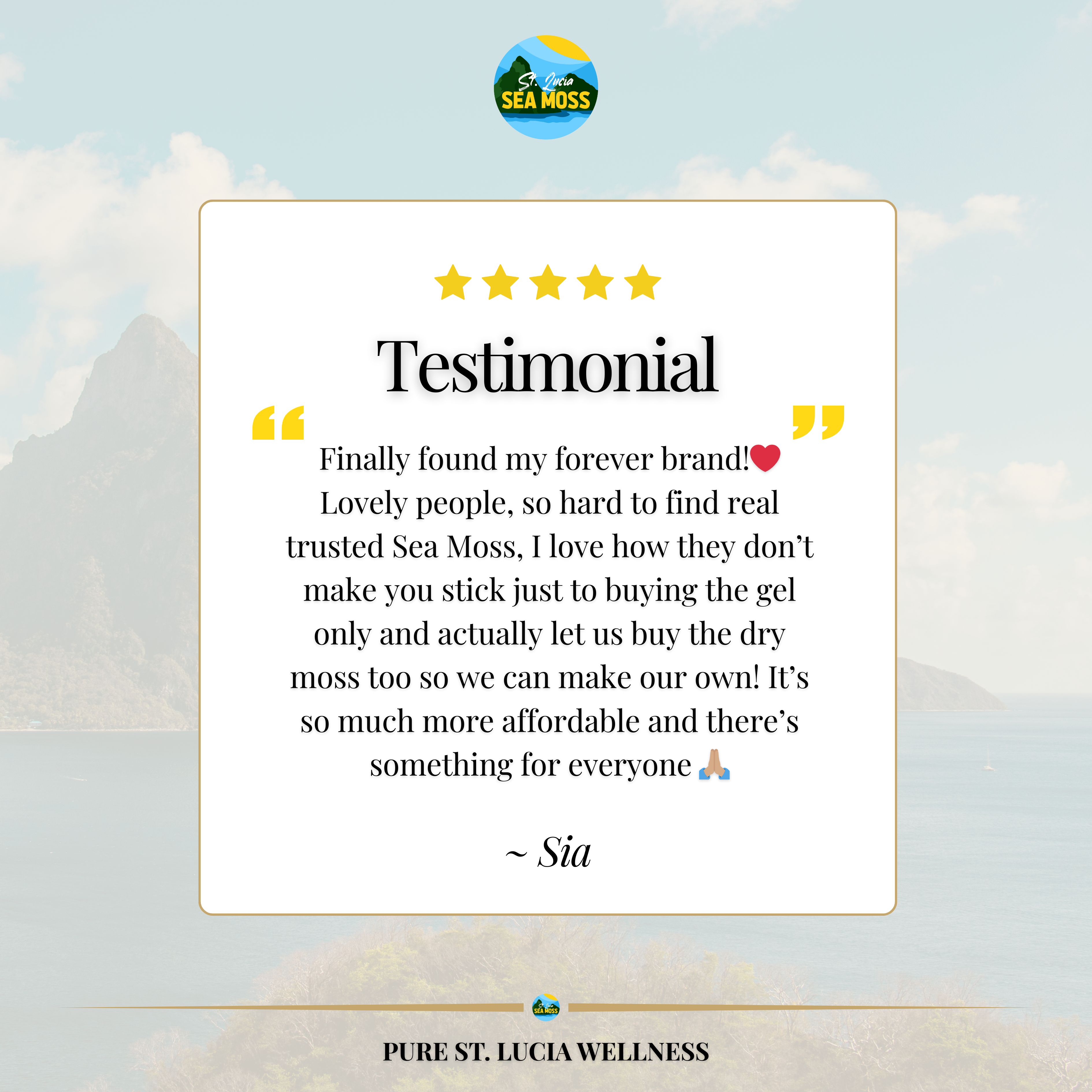 70g Purple St Lucia Sea Moss - Gracilaria