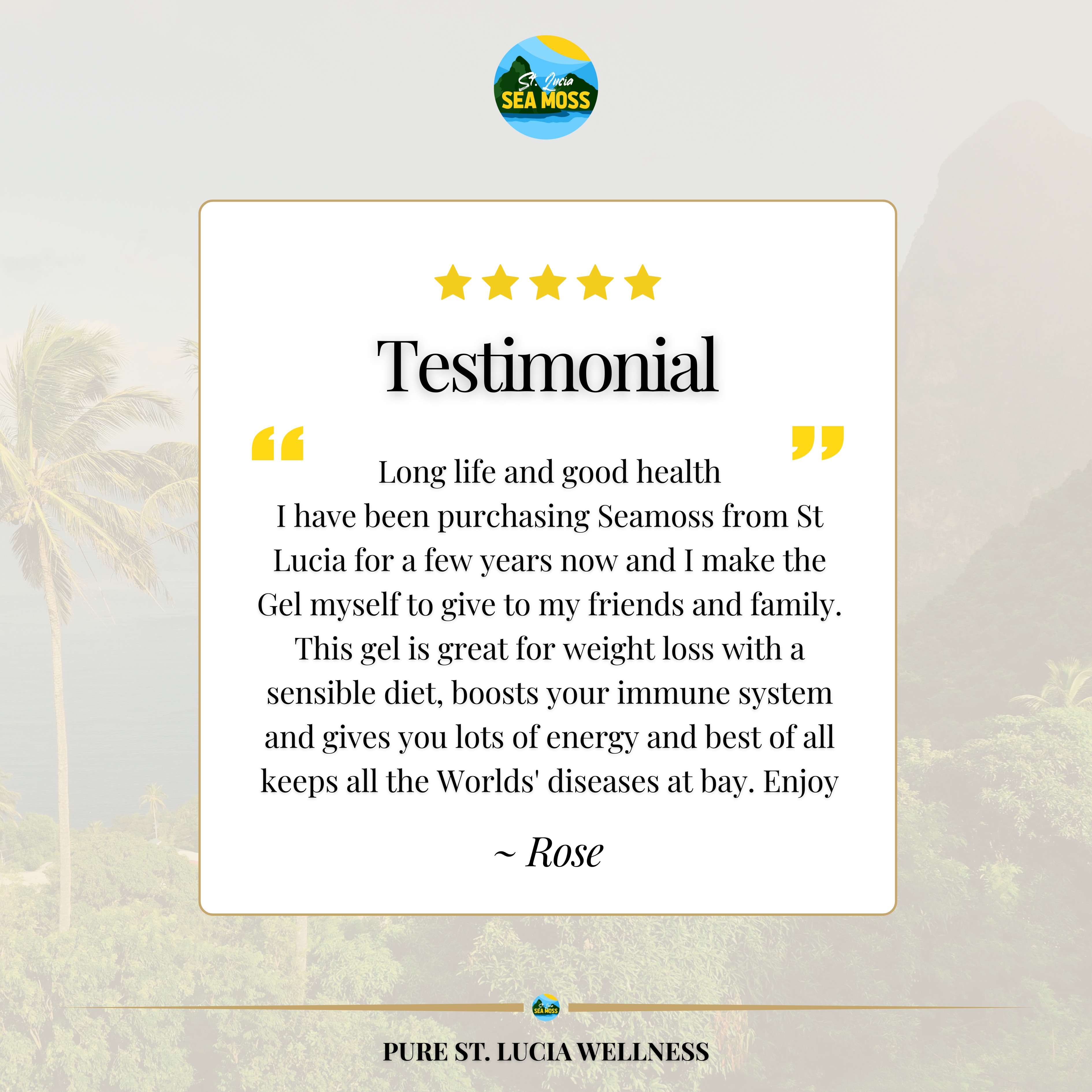 WHOLESALE Gold St Lucia Sea Moss - Eucheuma Cottonii