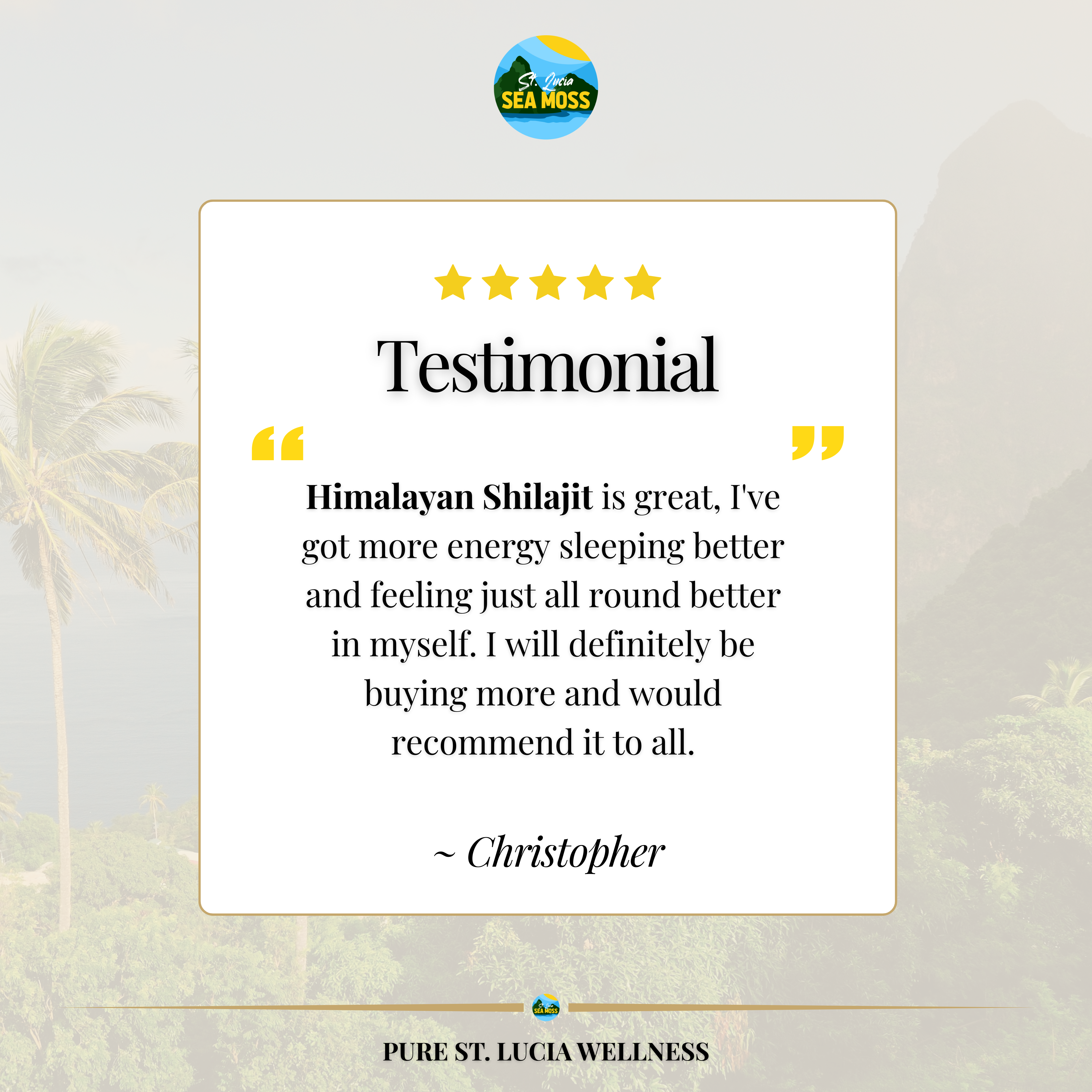 Himalayan Shilajit Pure Resin 20g - St Lucia Sea Moss