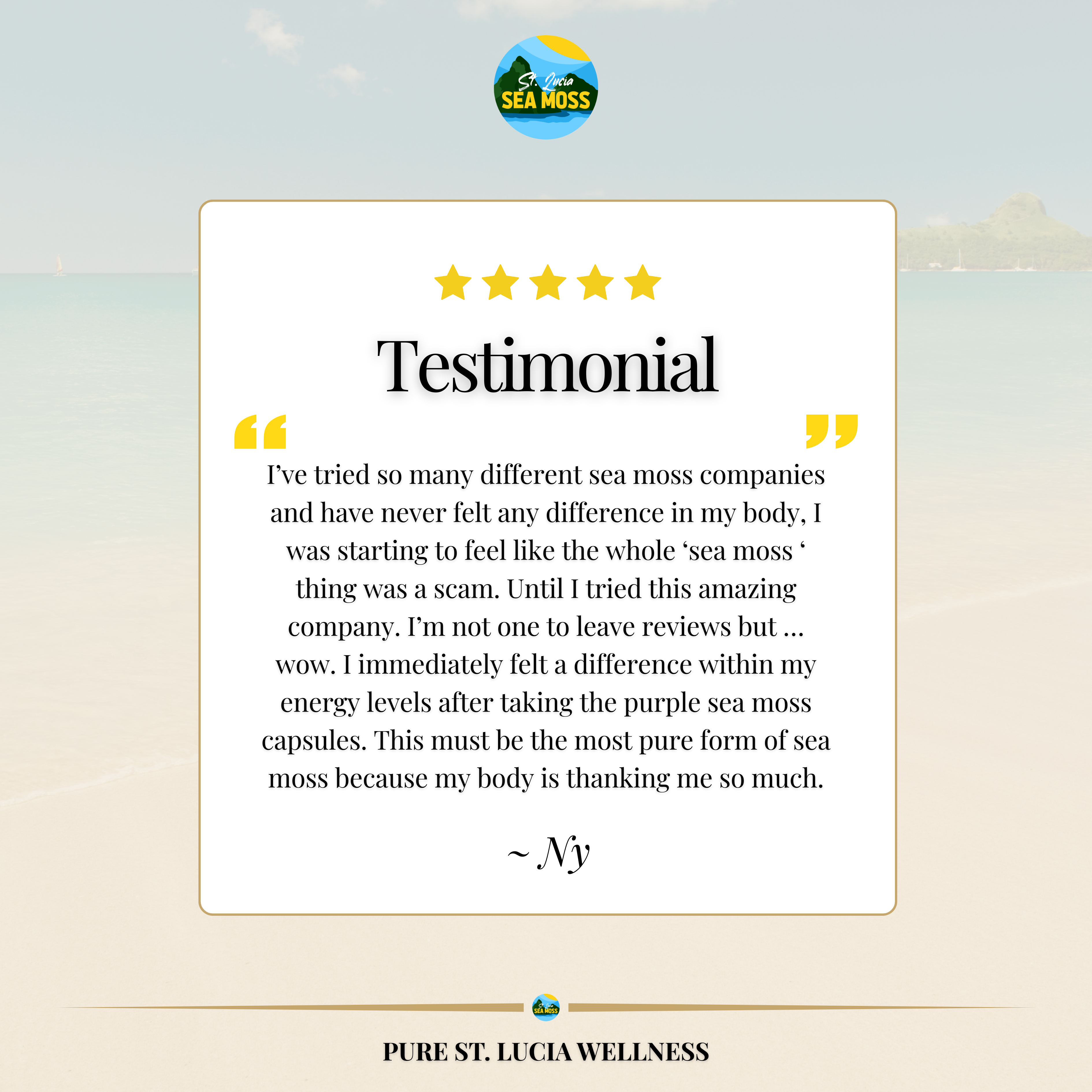 1kg Purple St Lucia Sea Moss - Gracilaria