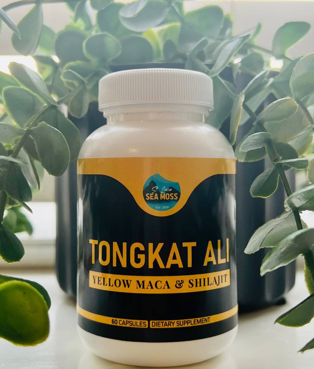 TongAli, Yellow Maca & Shilajit Capsules - St Lucia Sea Moss