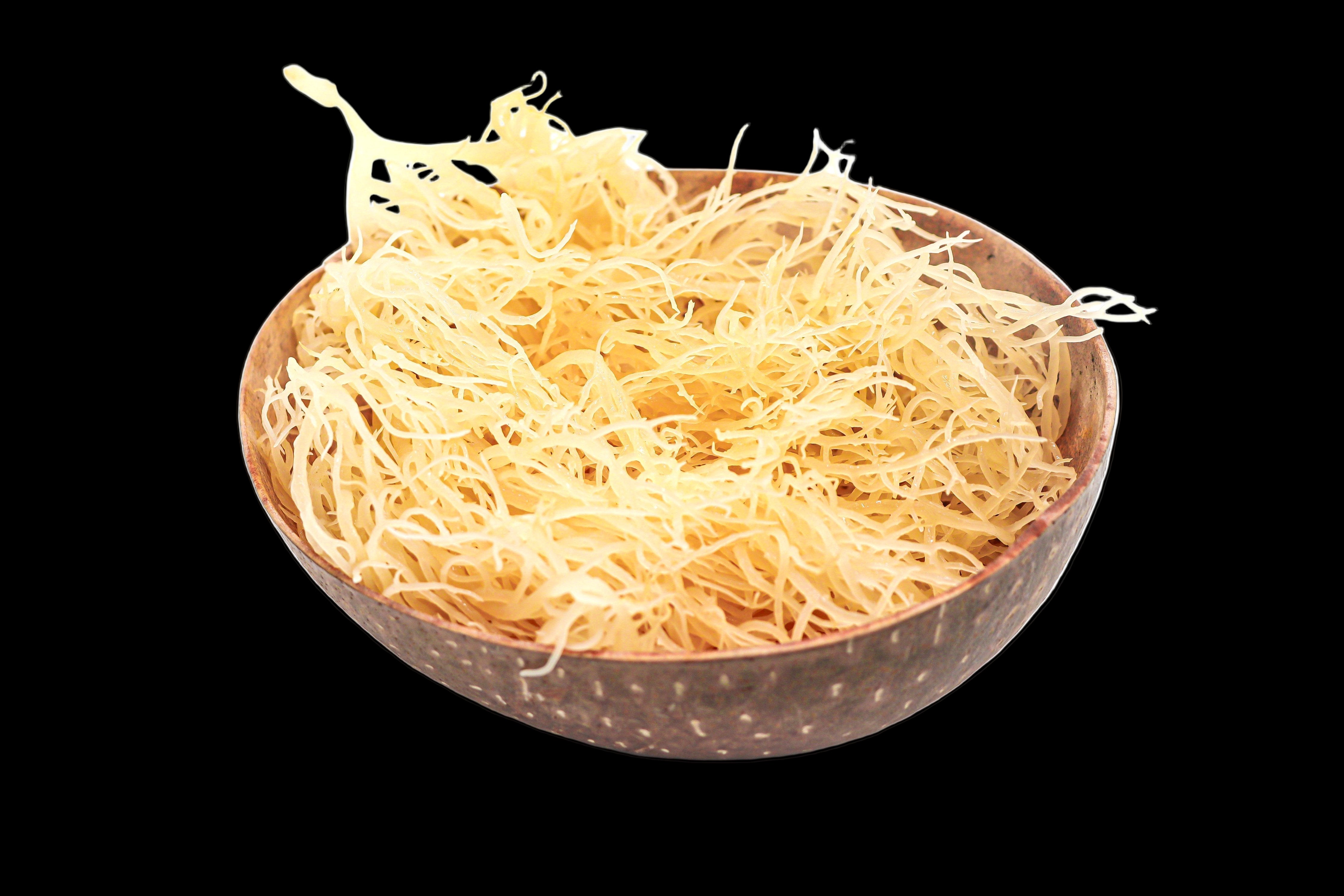 WHOLESALE Gold St Lucia Sea Moss - Eucheuma Cottonii - St Lucia Sea Moss