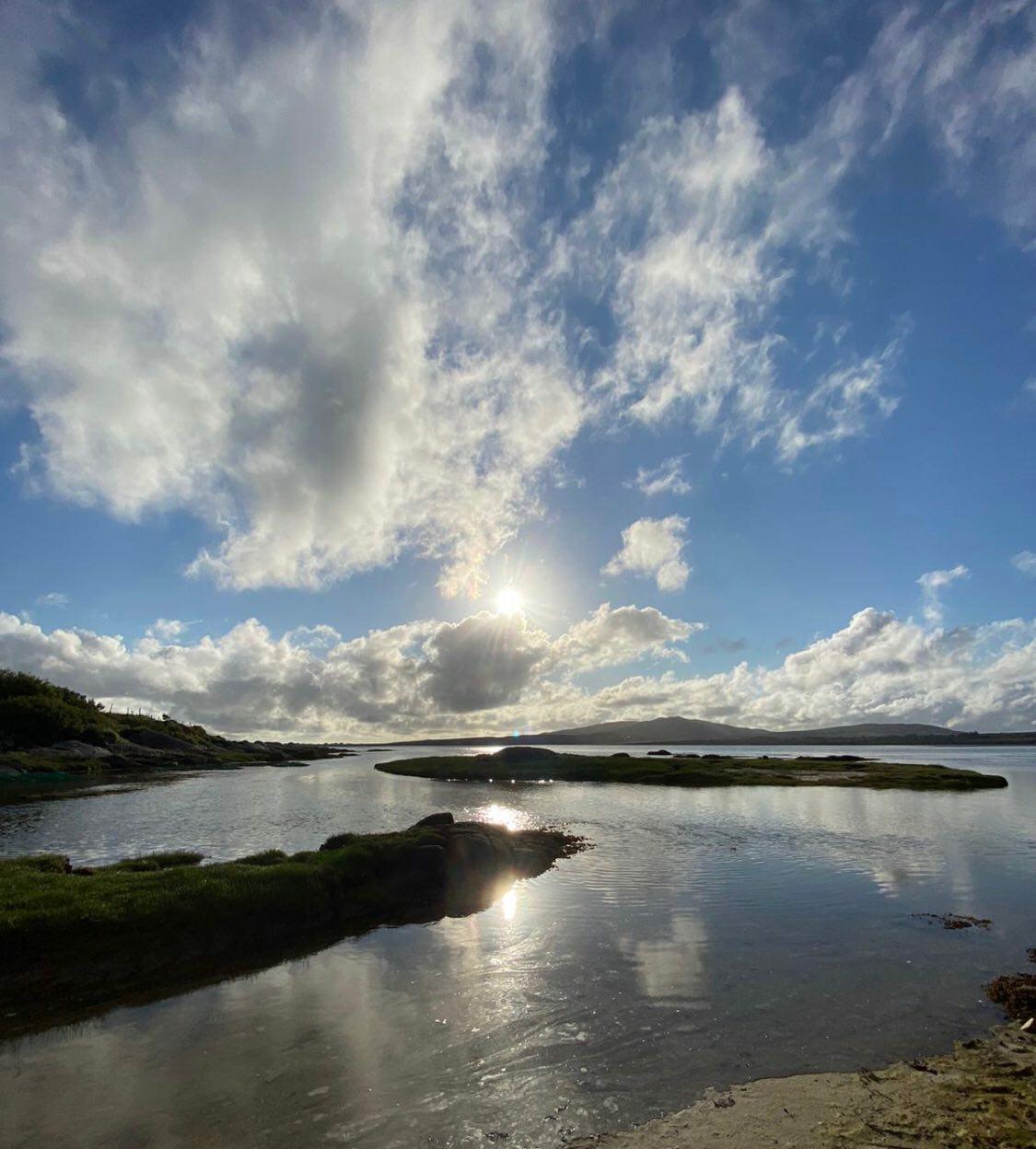 70g Irish Moss - Chondrus Crispus - St Lucia Sea Moss Organic Buy UK