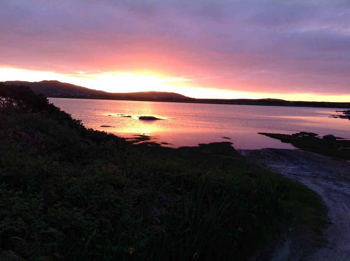 70g Irish Moss - Chondrus Crispus - St Lucia Sea Moss Organic Buy UK