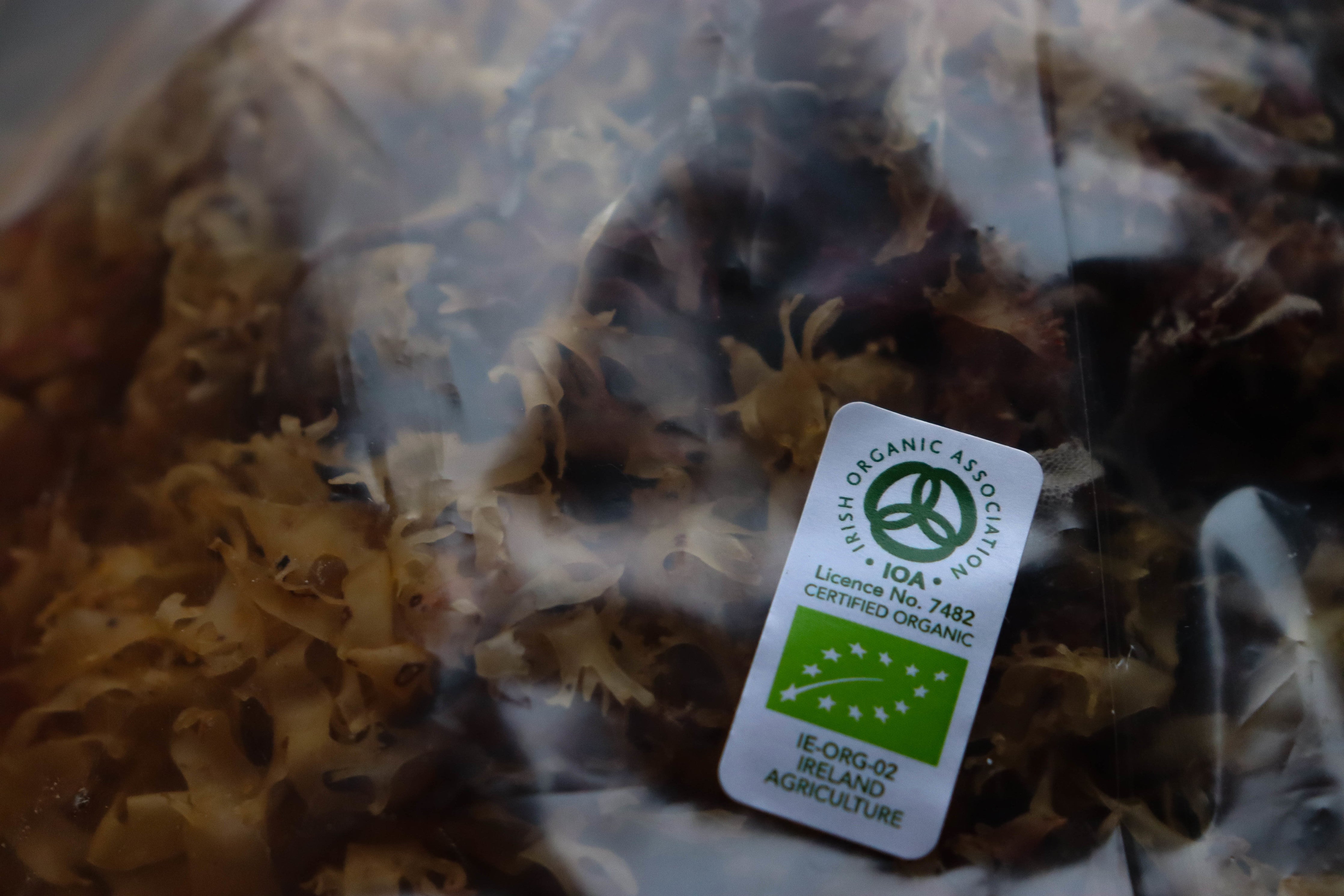 70g Irish Moss - Chondrus Crispus - St Lucia Sea Moss Organic Buy UK