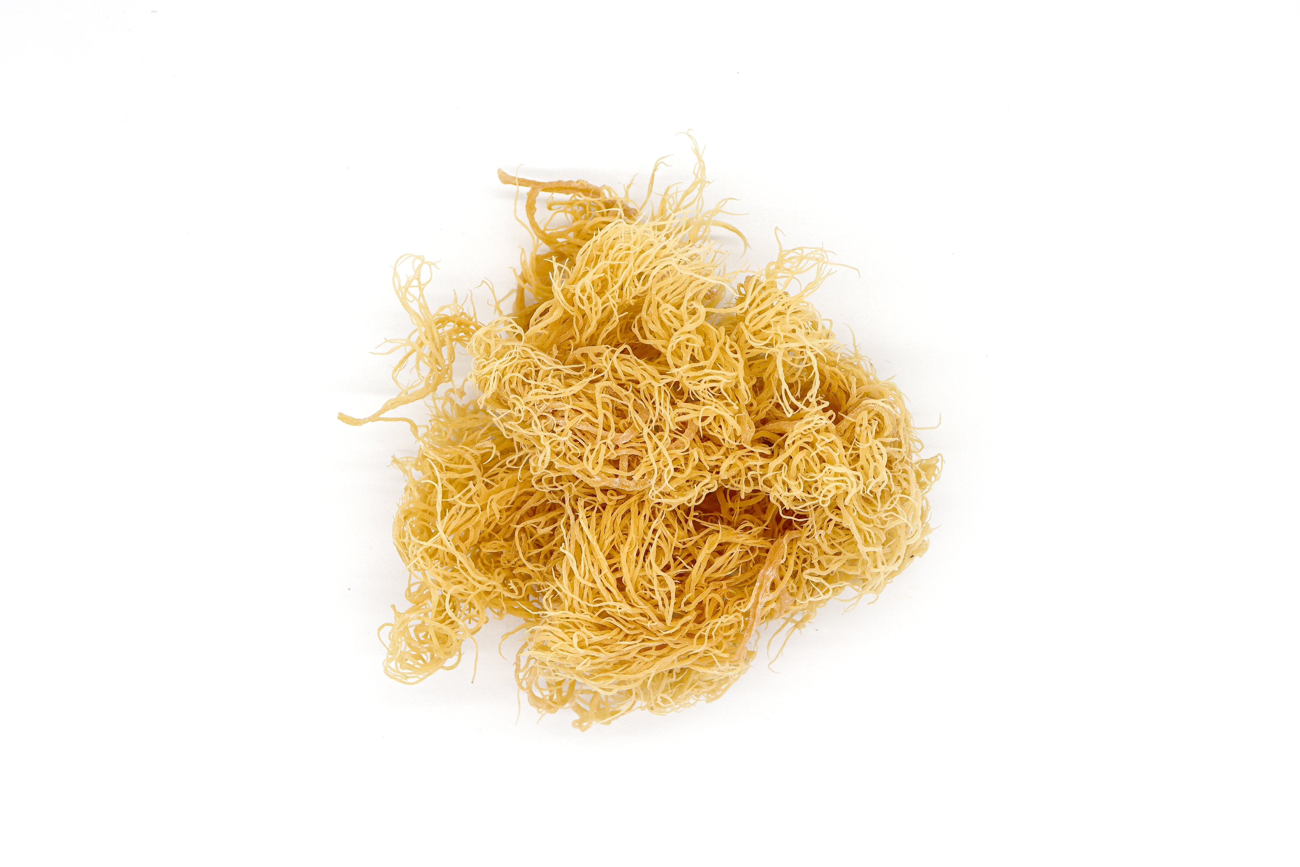 WHOLESALE Gold St Lucia Sea Moss - Eucheuma Cottonii - St Lucia Sea Moss