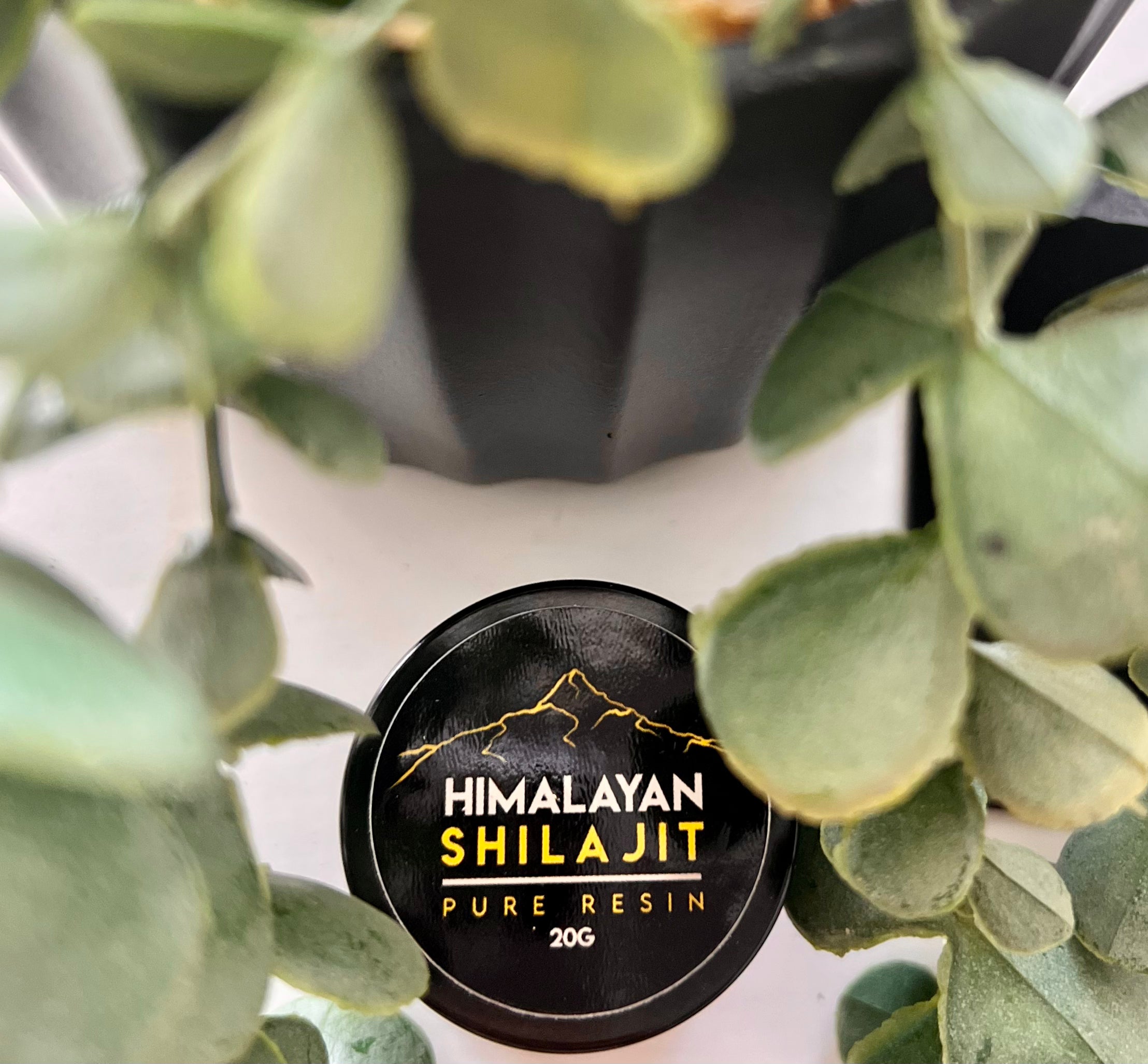 Himalayan Shilajit Pure Resin 20g - St Lucia Sea Moss