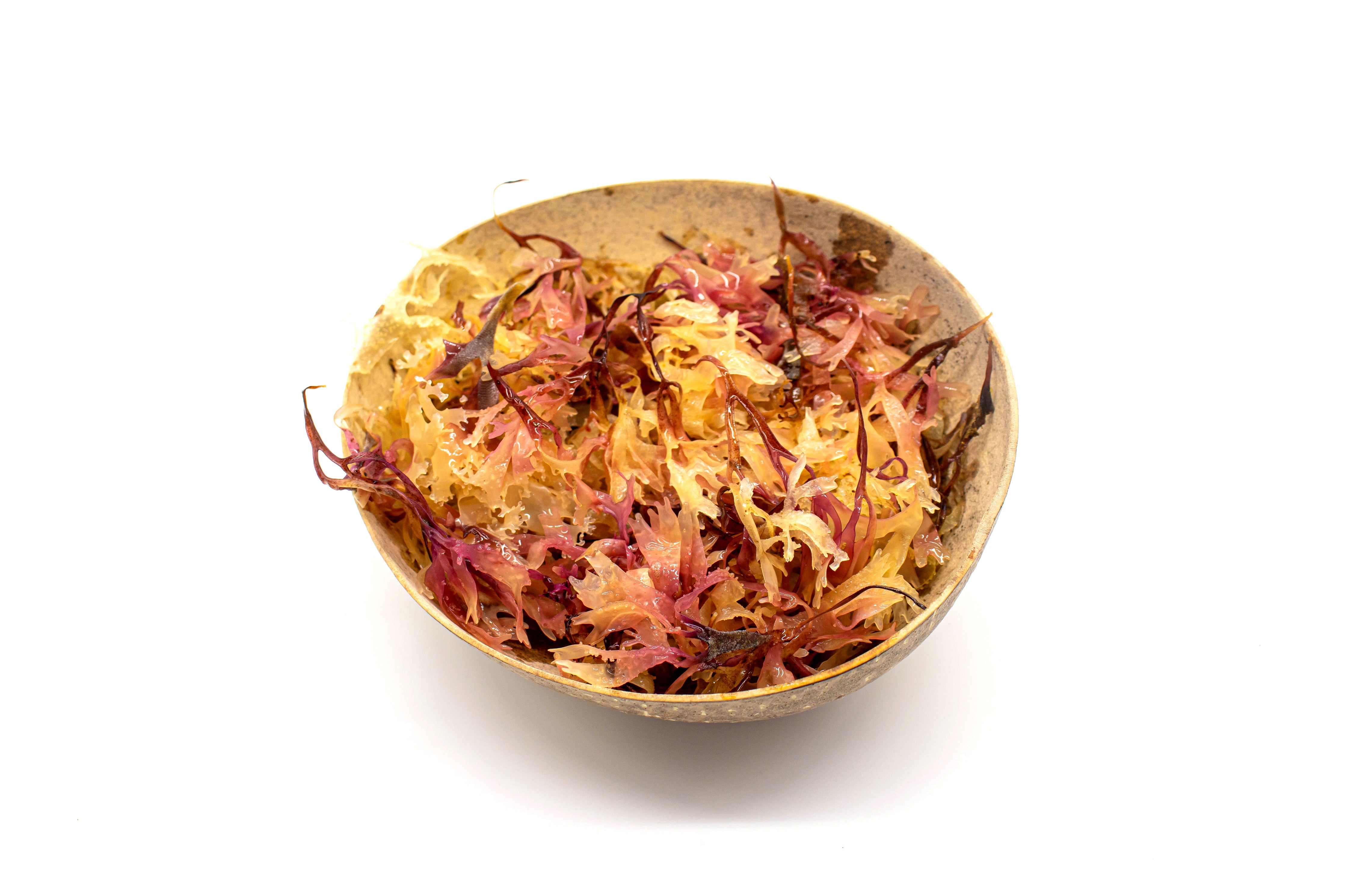 70g Irish Moss - Chondrus Crispus - St Lucia Sea Moss Organic Buy UK