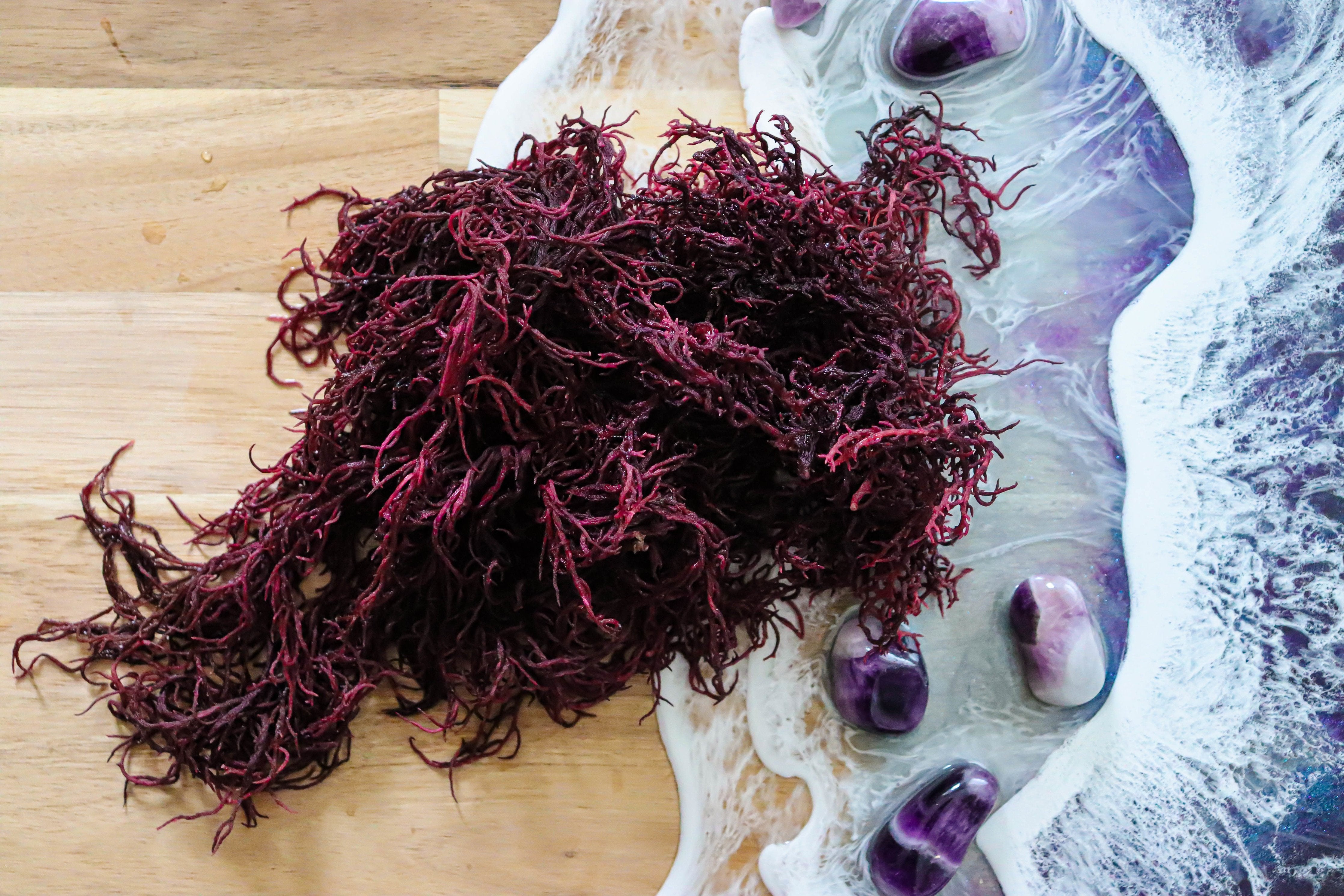 70g Purple St Lucia Sea Moss - Gracilaria - St Lucia Sea Moss Organic Buy UK 