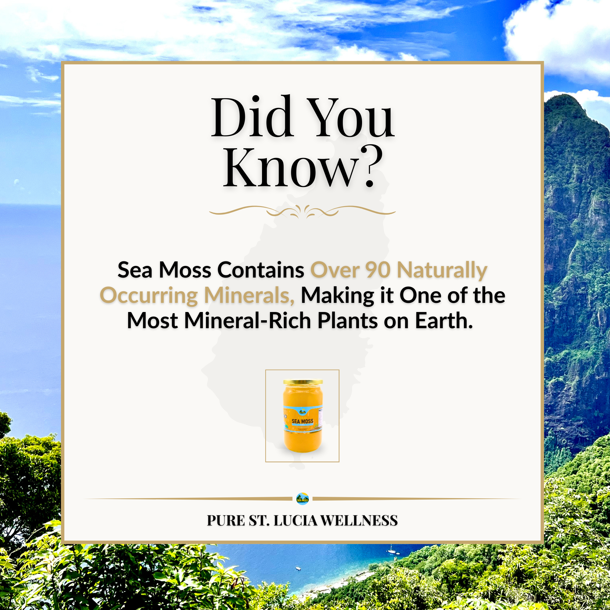 Gold St Lucia Sea Moss Gel 350ml