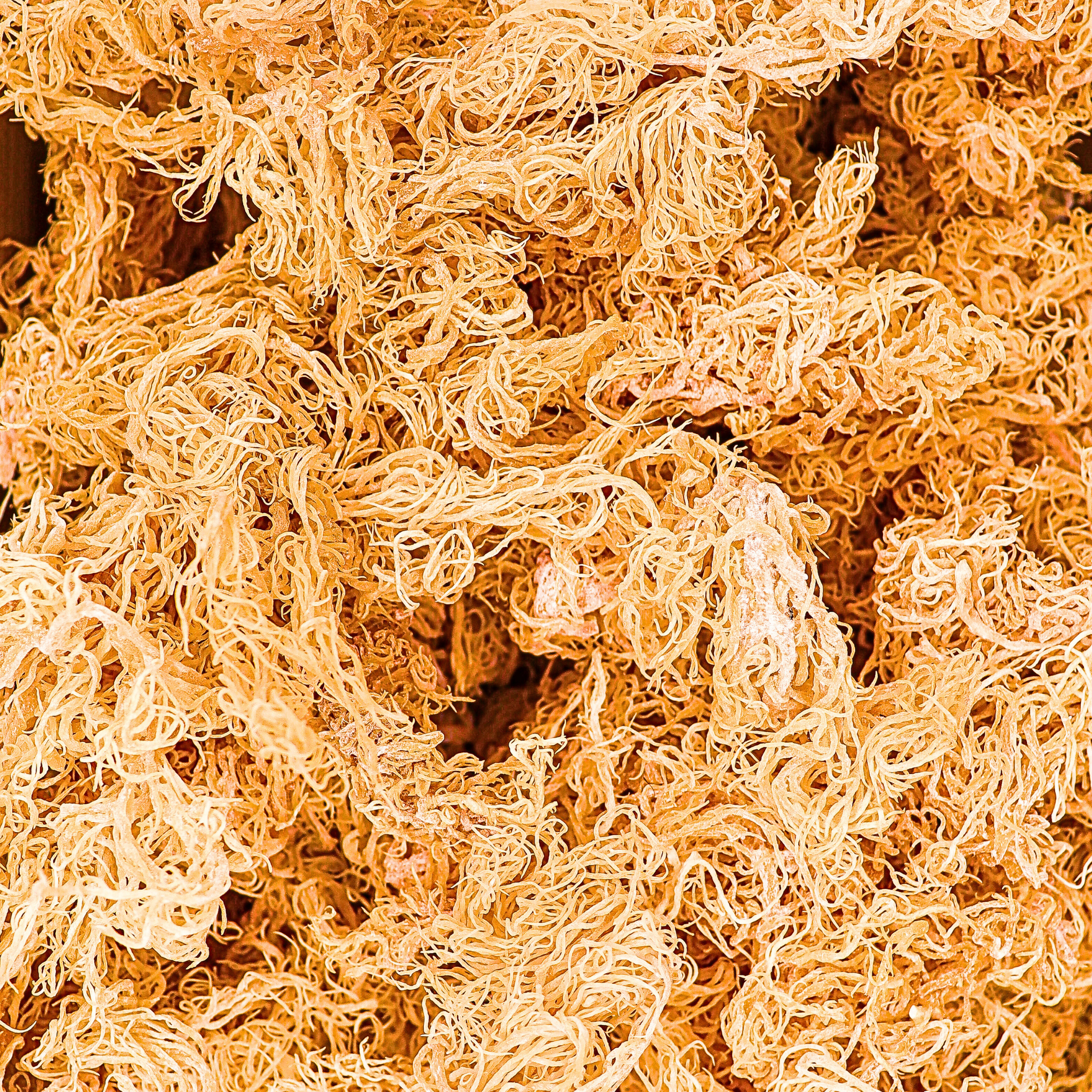 1kg Gold St Lucia Sea Moss - Eucheuma Cottonii