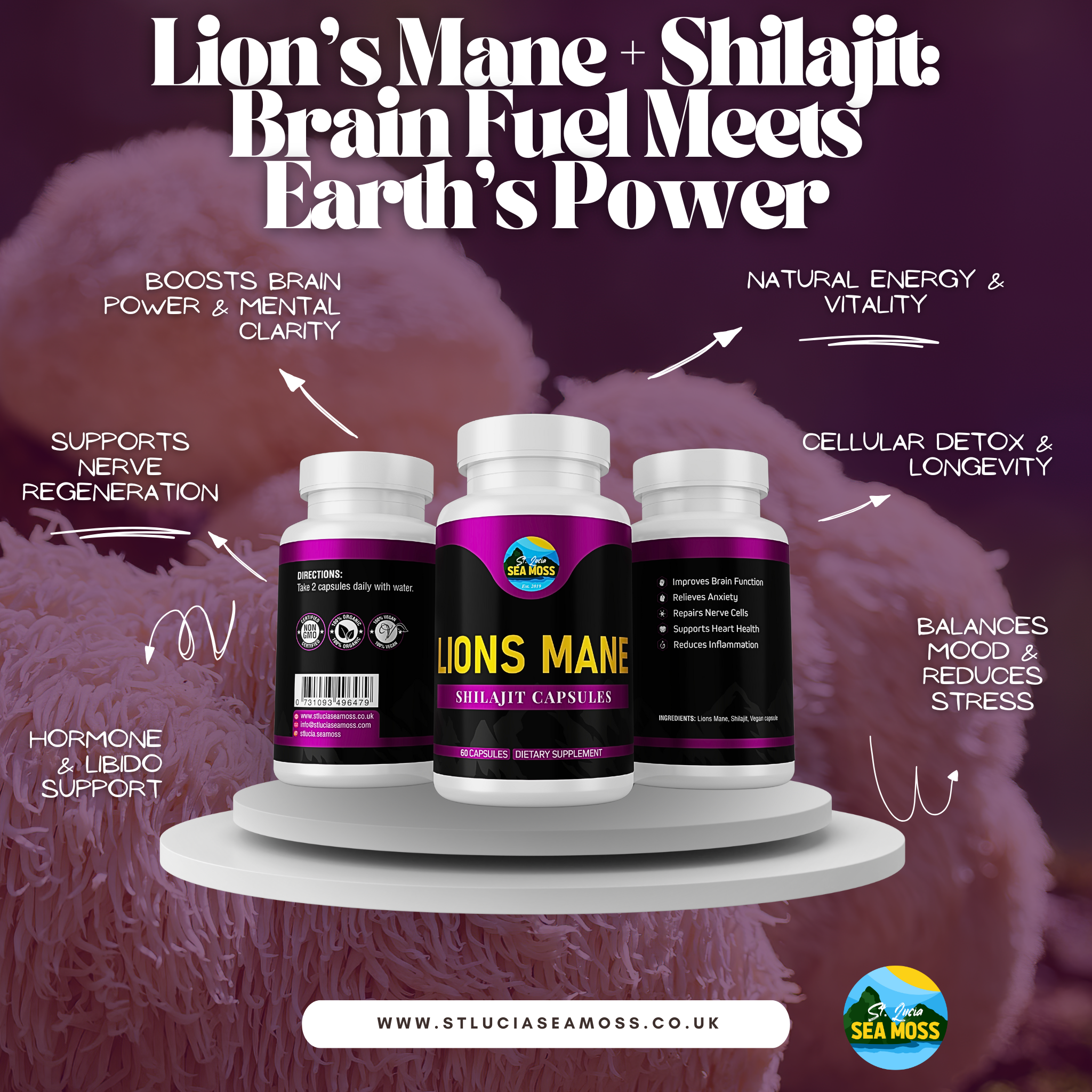 Three bottles of Lion's Mane + Shilajit capsules on a stand with text highlighting benefits against a purple background.