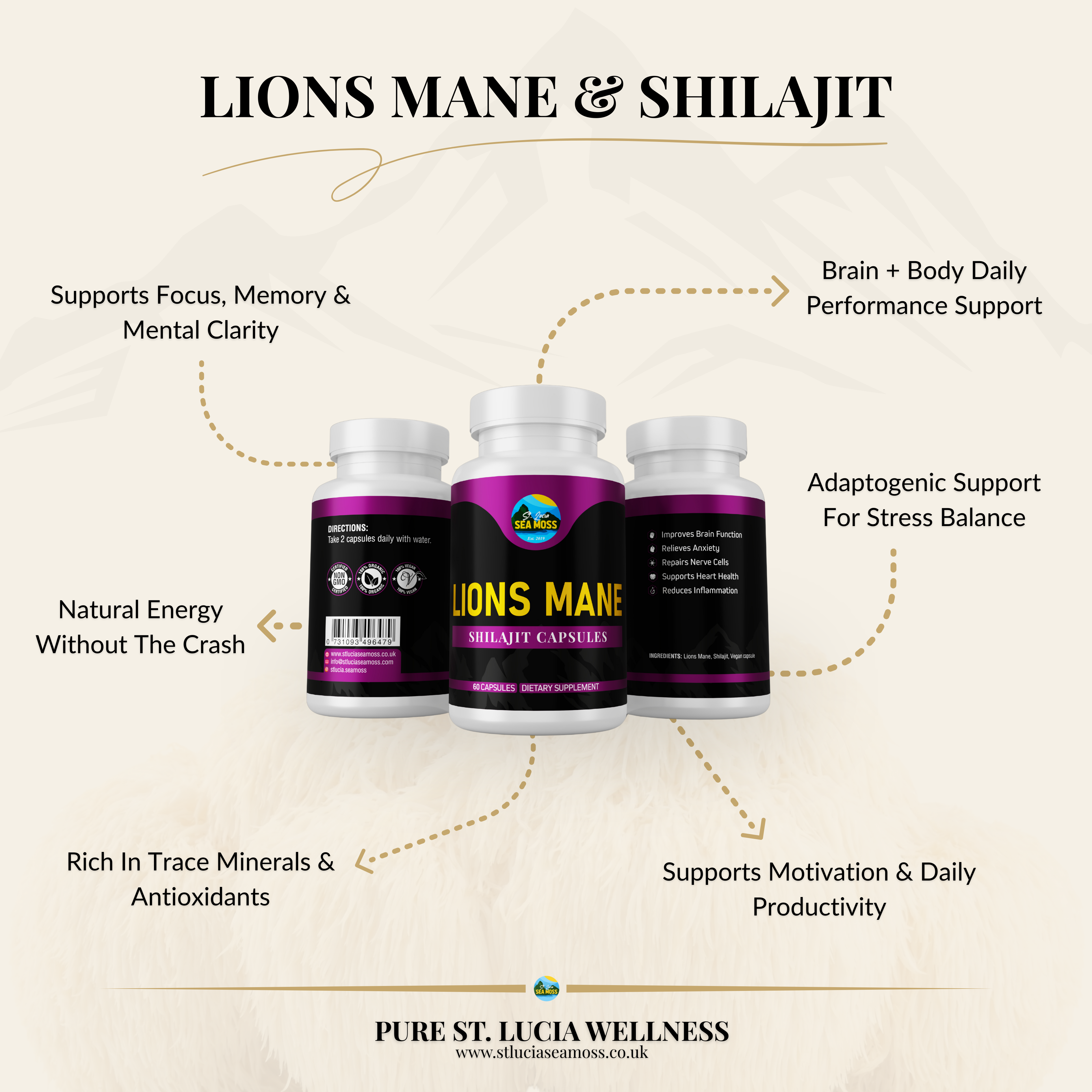 Lions Mane & Shilajit Capsules