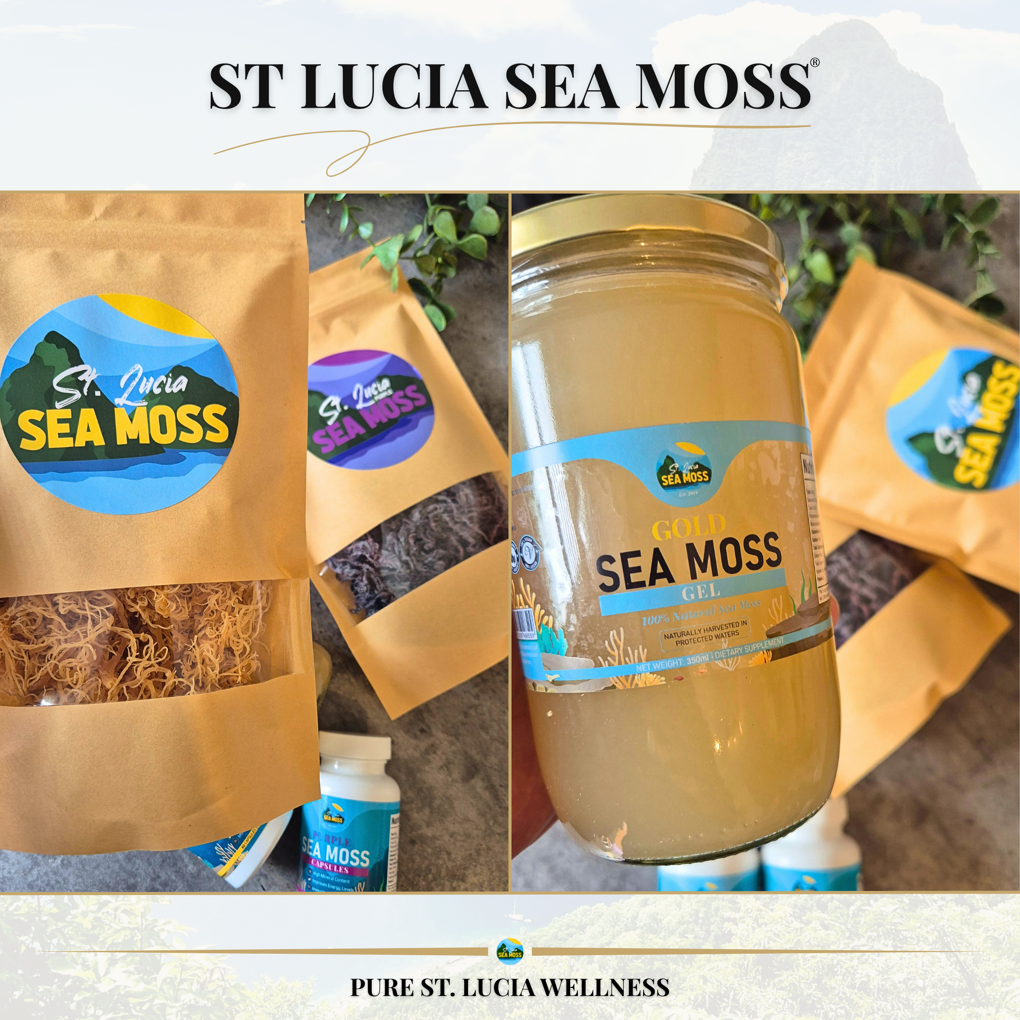Gold St Lucia Sea Moss Gel 720ml