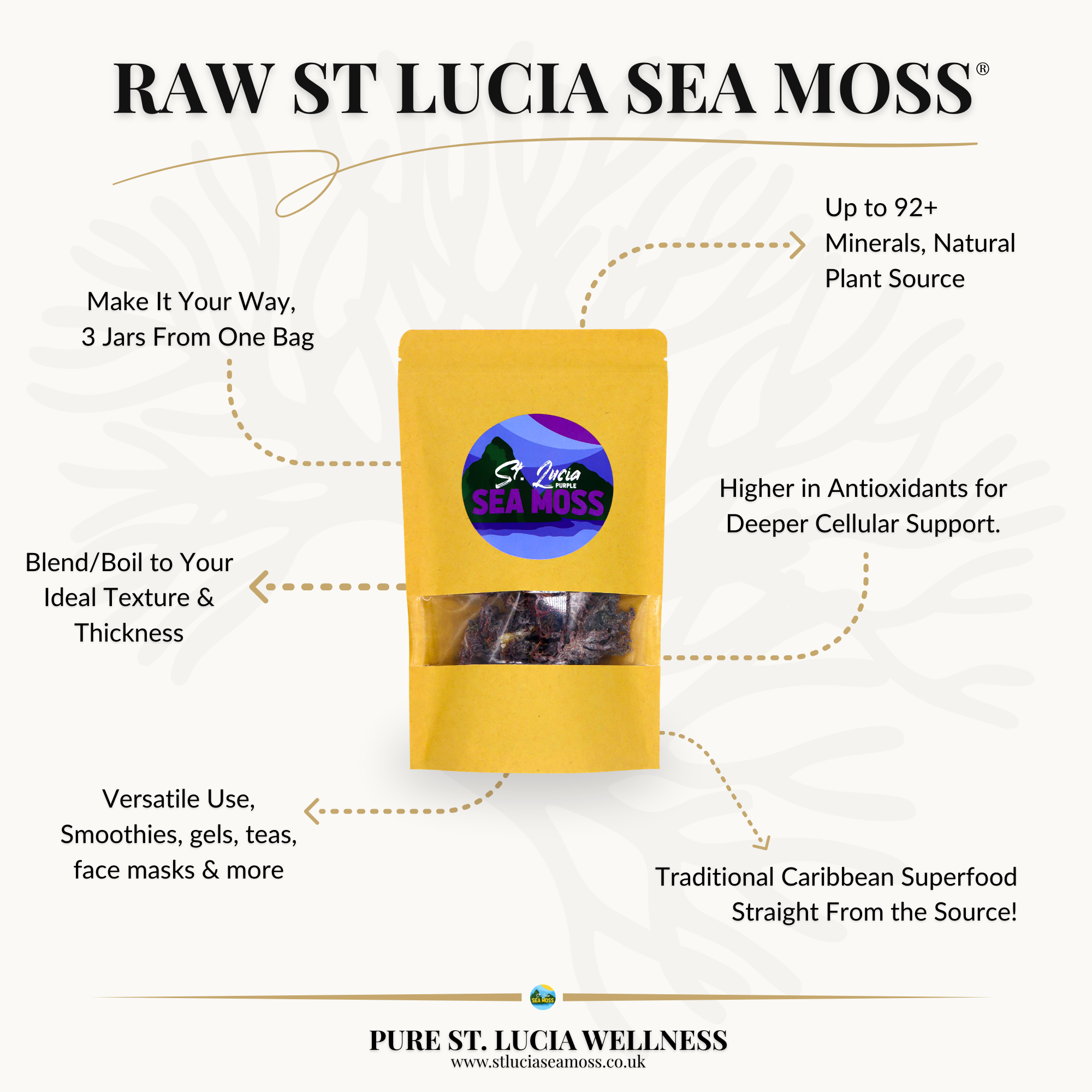 1kg Purple St Lucia Sea Moss - Gracilaria