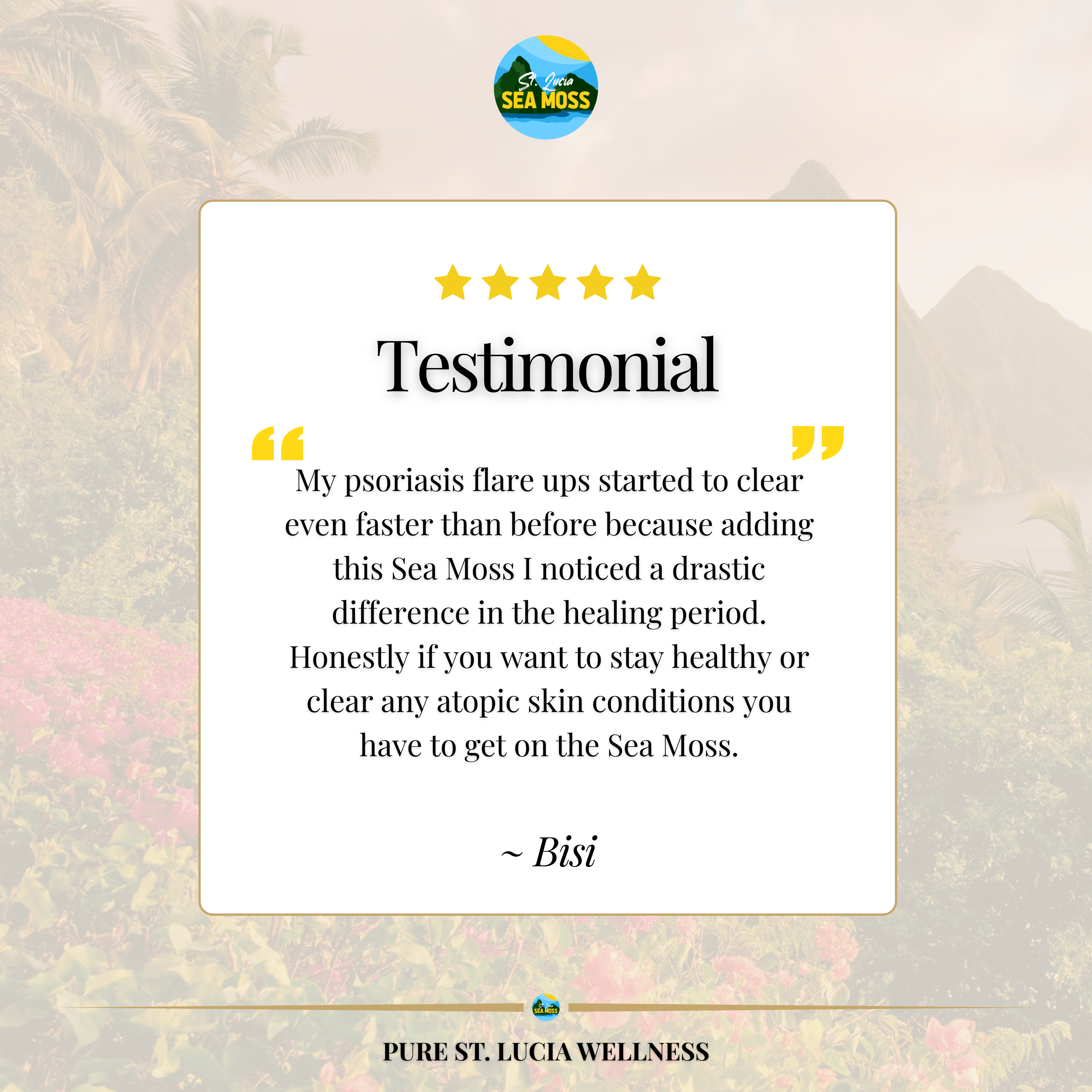 1kg Gold St Lucia Sea Moss - Eucheuma Cottonii