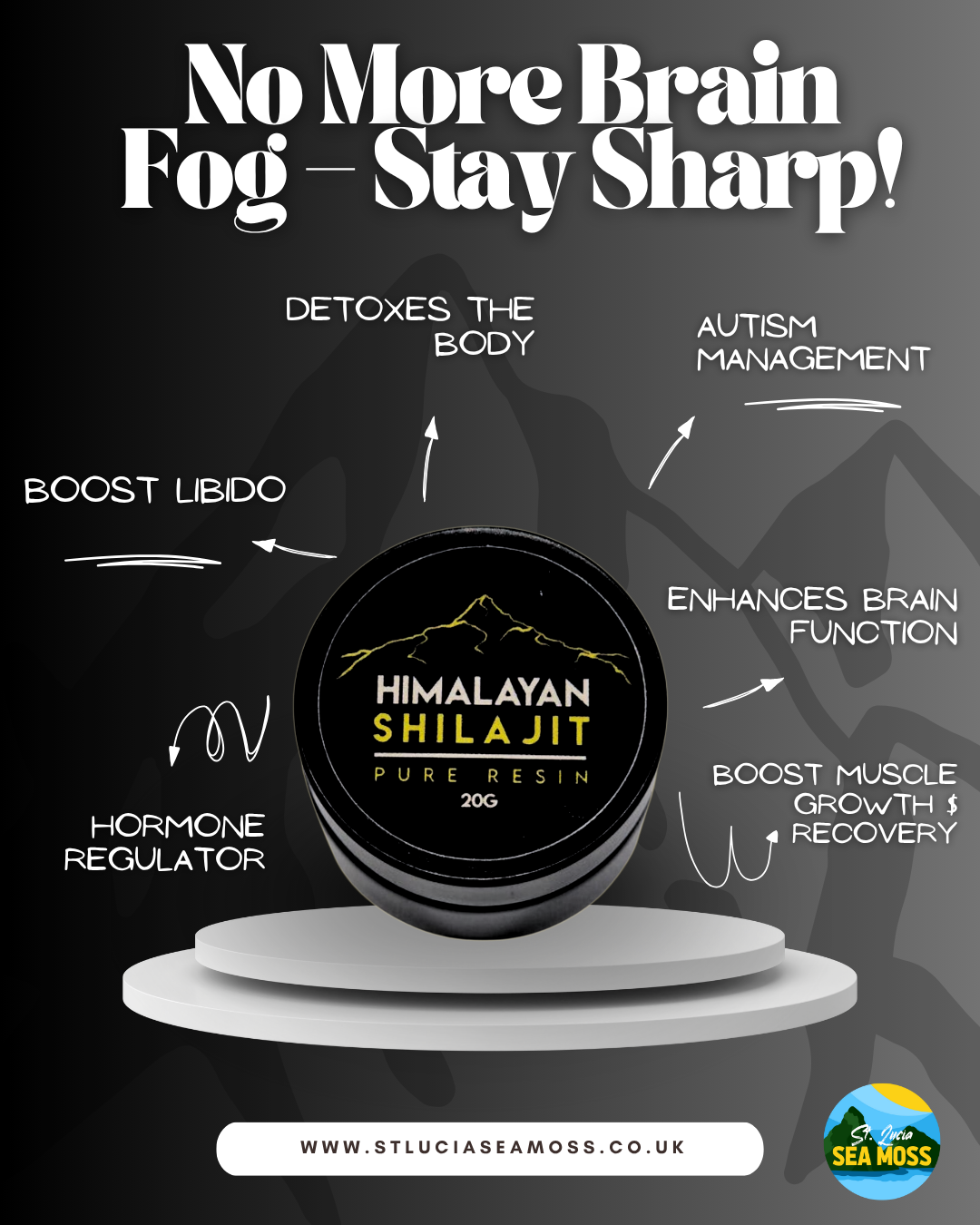 Himalayan Shilajit Pure Resin 20g