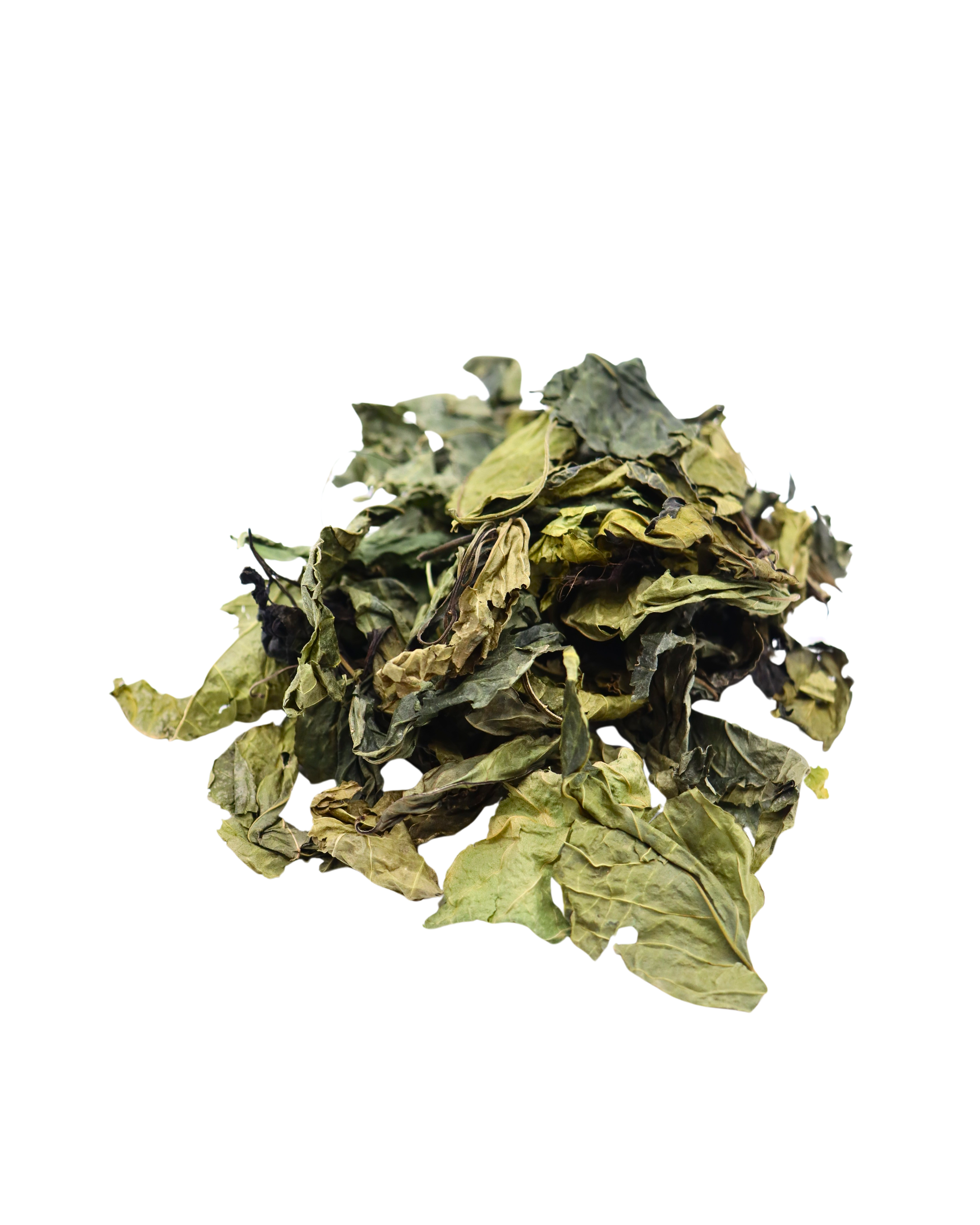 Barbados St. John's Wort - St Lucia Sea Moss
