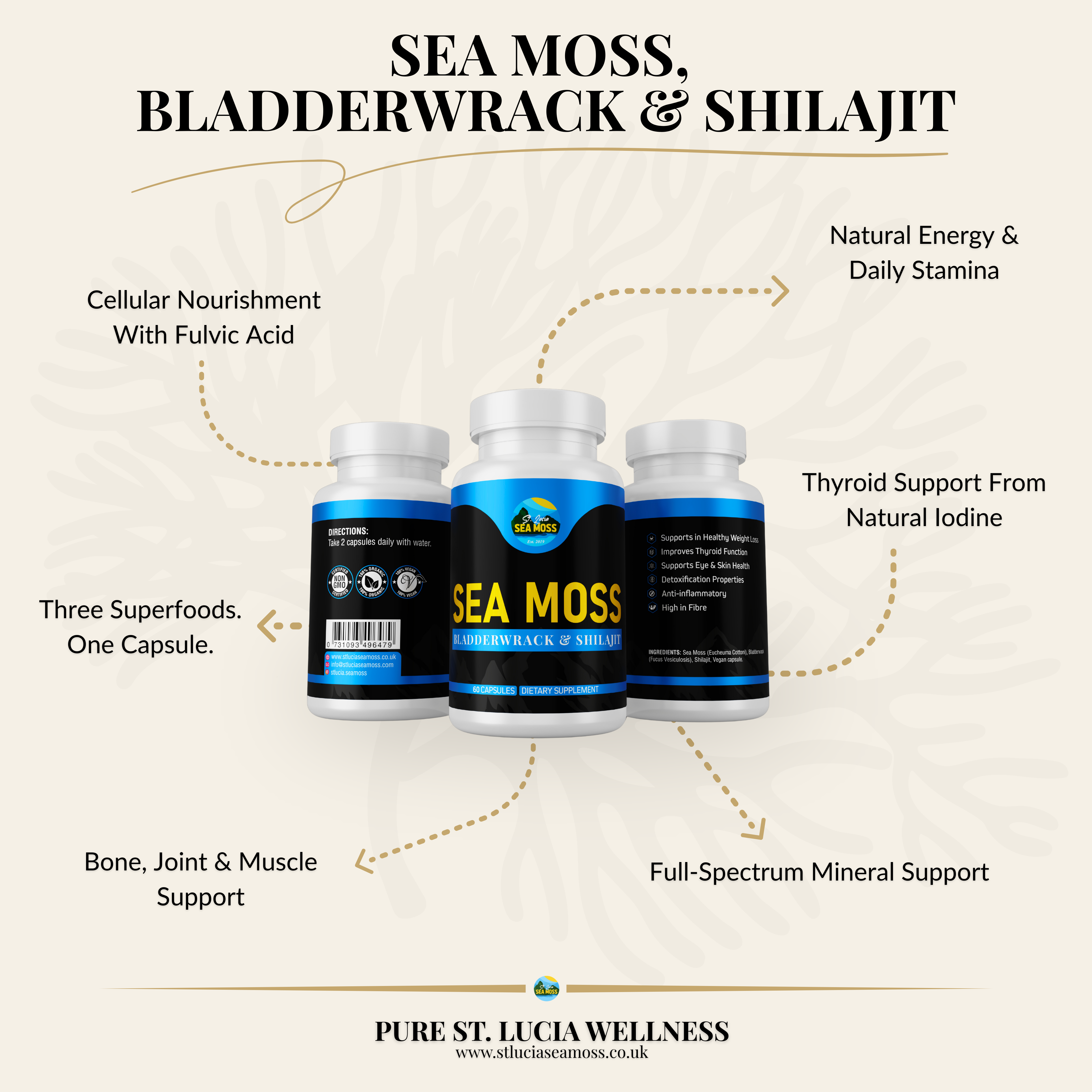 Sea Moss, Bladderwrack & Shilajit Capsules