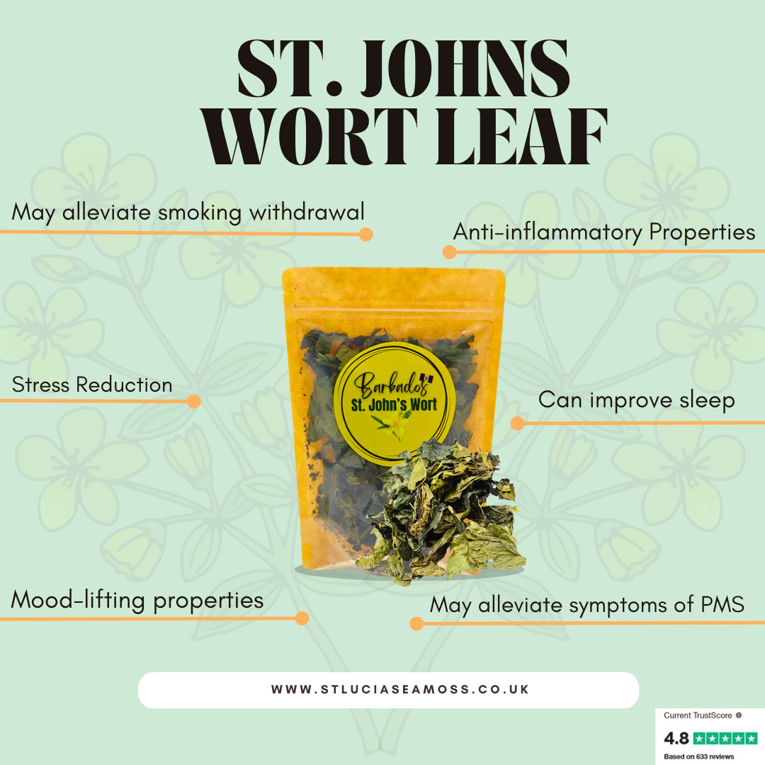 Barbados St. John's Wort - St Lucia Sea Moss
