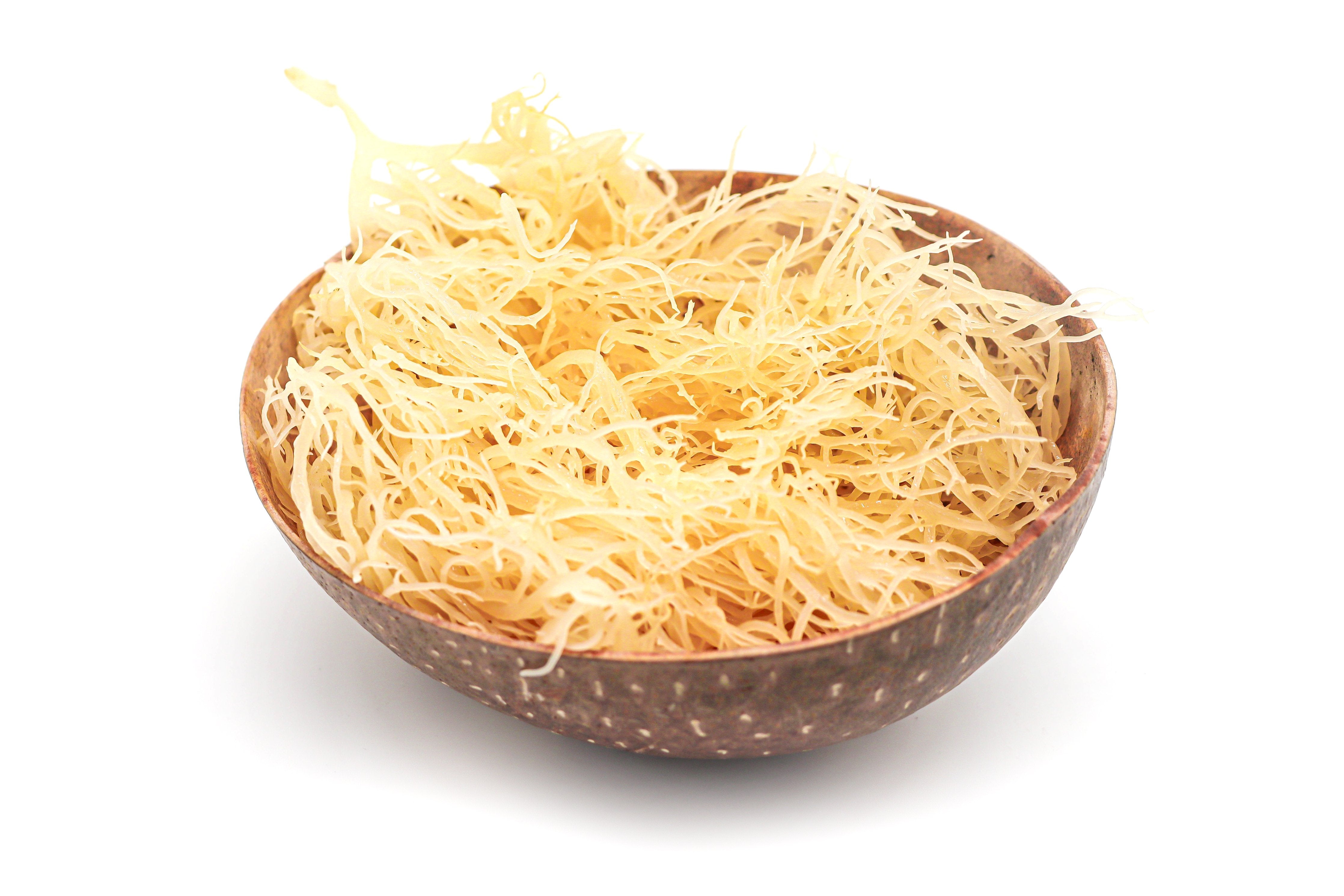 WHOLESALE Gold St Lucia Sea Moss - Eucheuma Cottonii - St Lucia Sea Moss