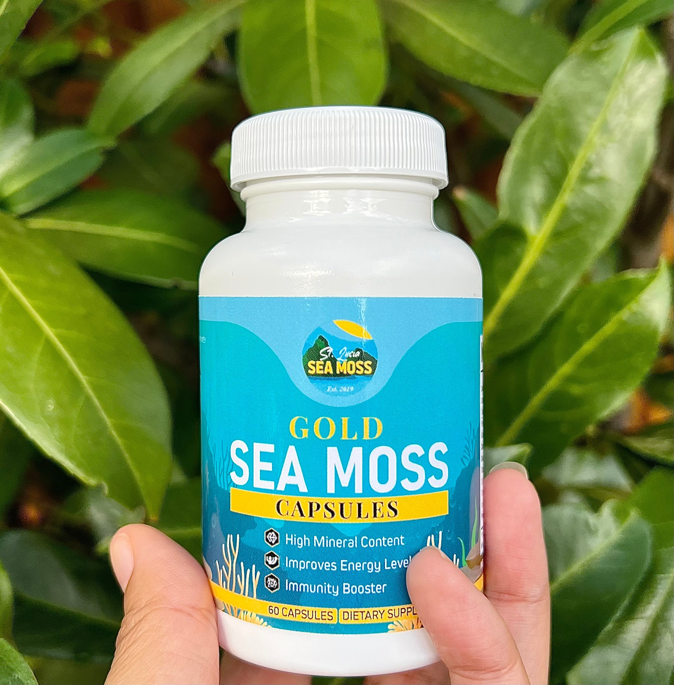 Gold St Lucia Sea Moss Capsules - St Lucia Sea Moss