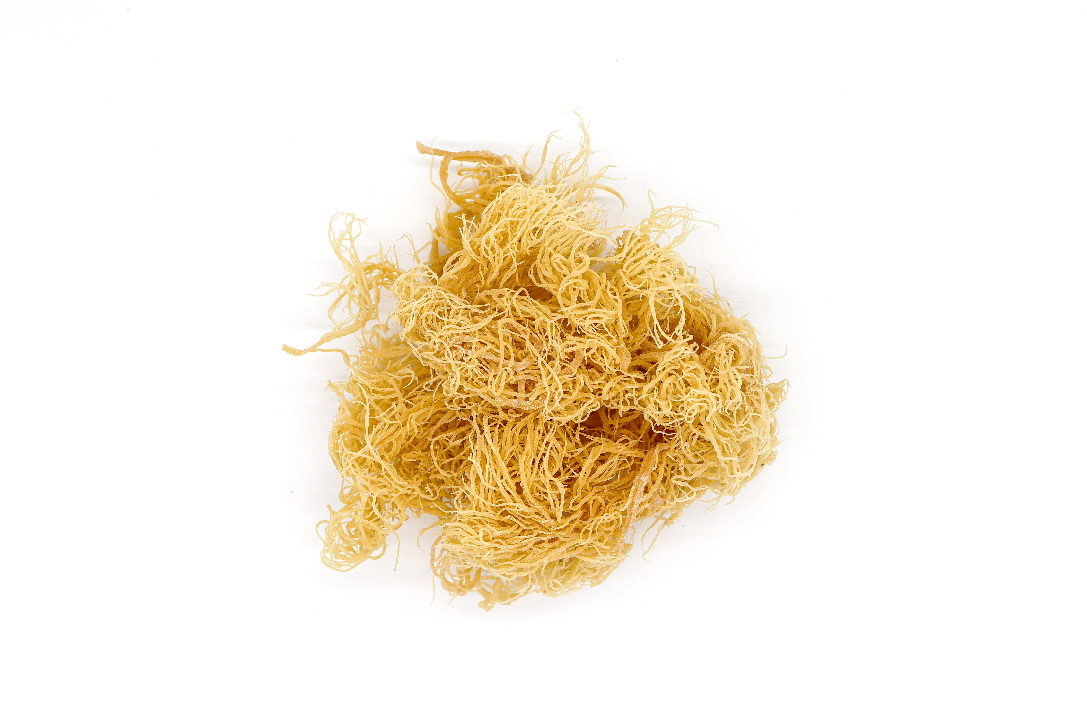 Raw Gold Sea Moss