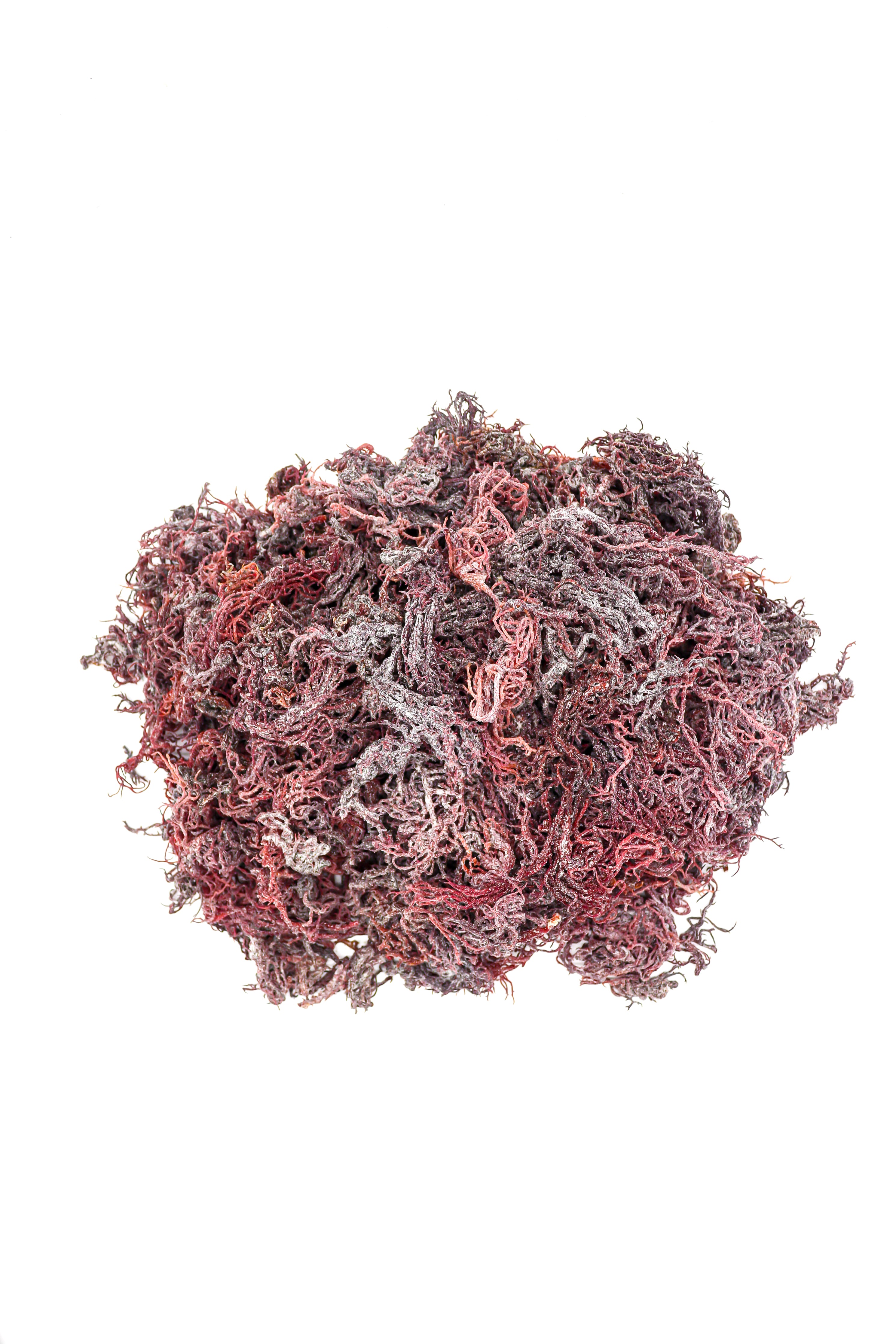 1kg Purple St Lucia Sea Moss in UK | Raw, Gel/Smoothie/Face Mask