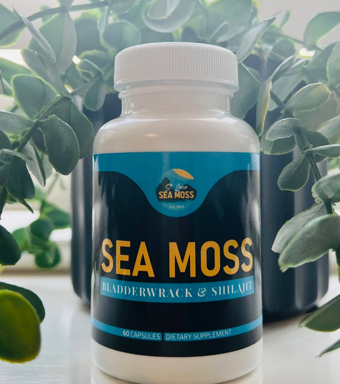 Sea Moss, Bladderwrack & Shilajit Capsules - St Lucia Sea Moss