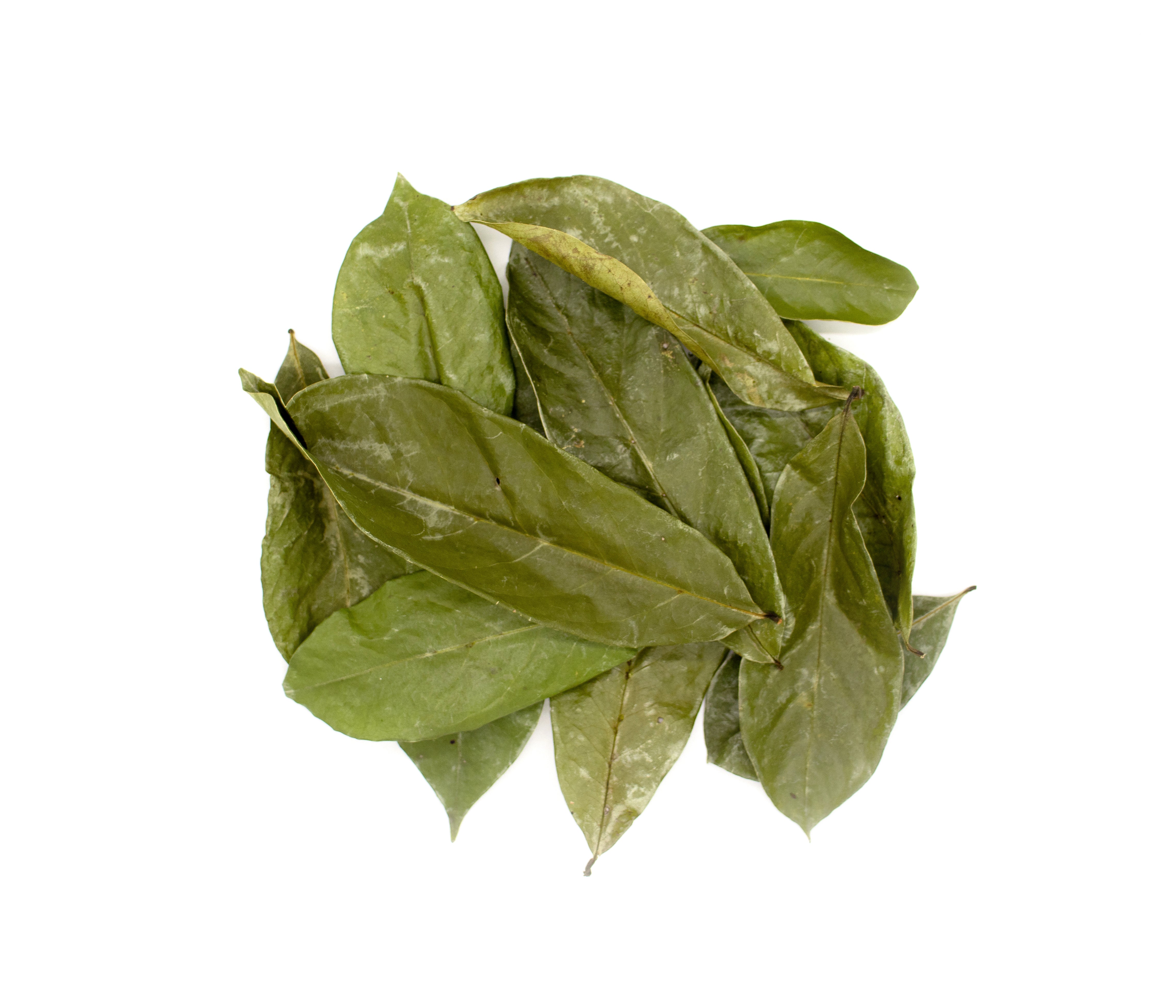 St Lucia Soursop Leaf - St Lucia Sea Moss Organic Buy UK 
