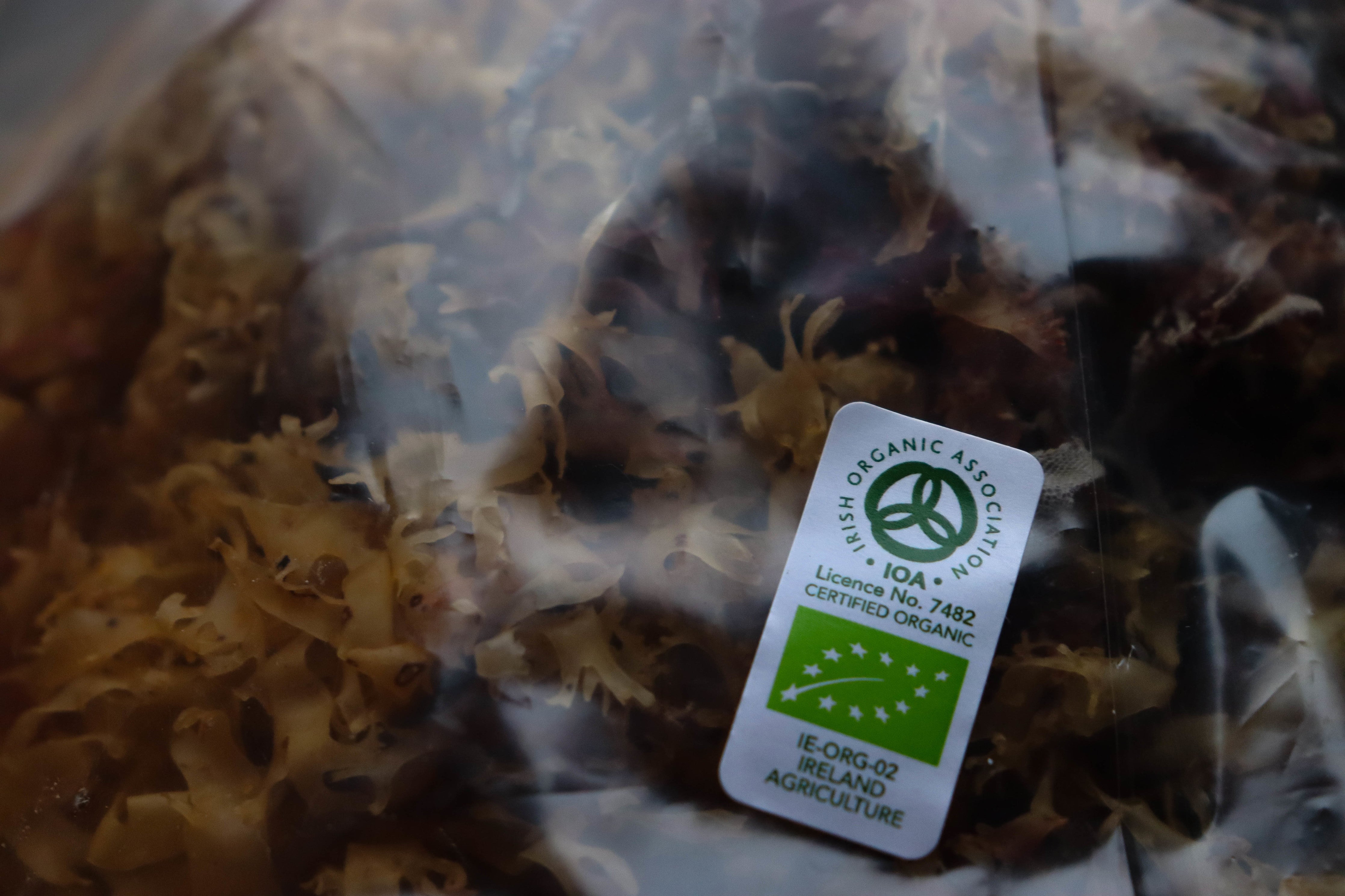 70g Irish Moss - Chondrus Crispus - St Lucia Sea Moss Organic Buy UK 
