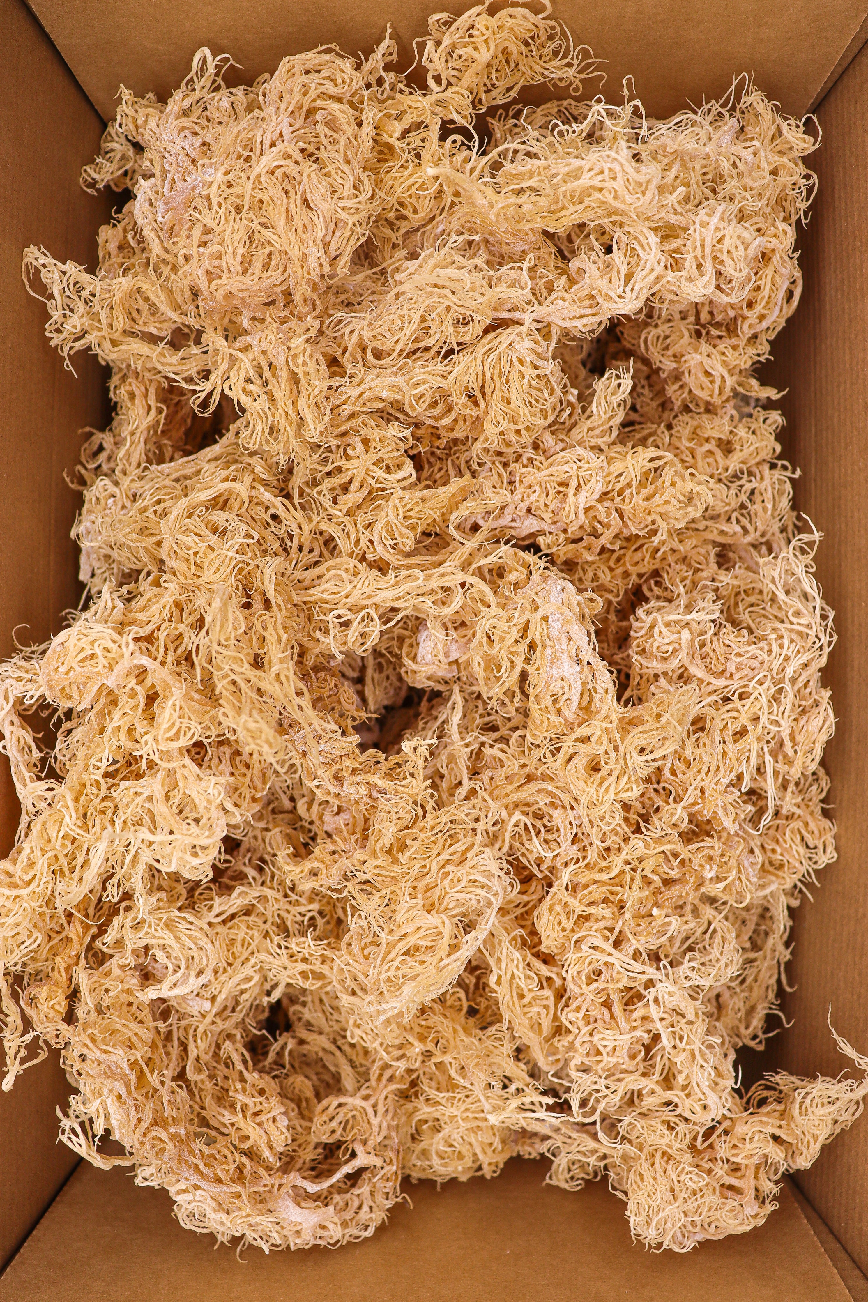 1kg Gold St Lucia Sea Moss - Eucheuma Cottonii - St Lucia Sea Moss Organic Buy UK 