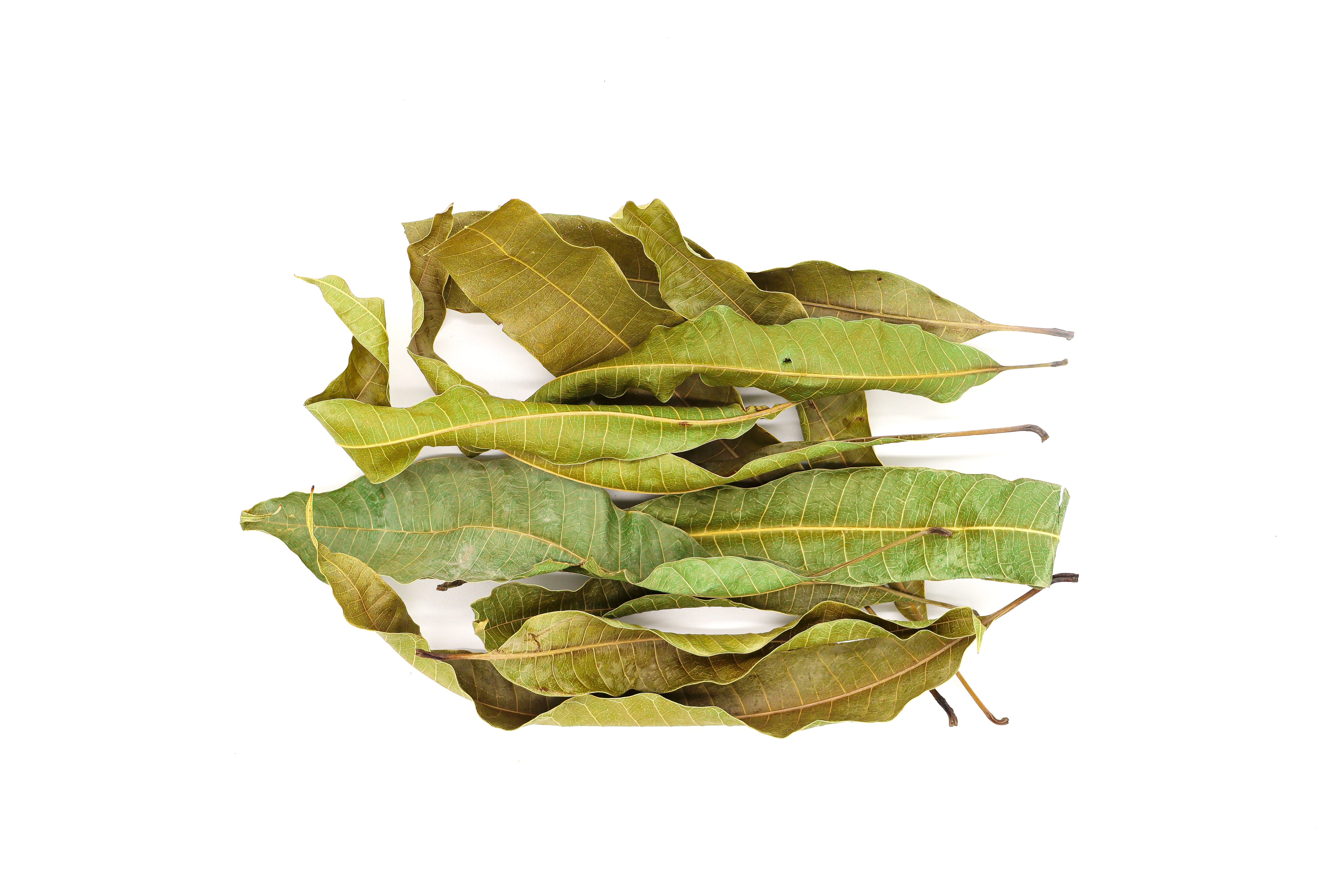 St Lucia Mango Leaf - St Lucia Sea Moss Organic Buy UK 